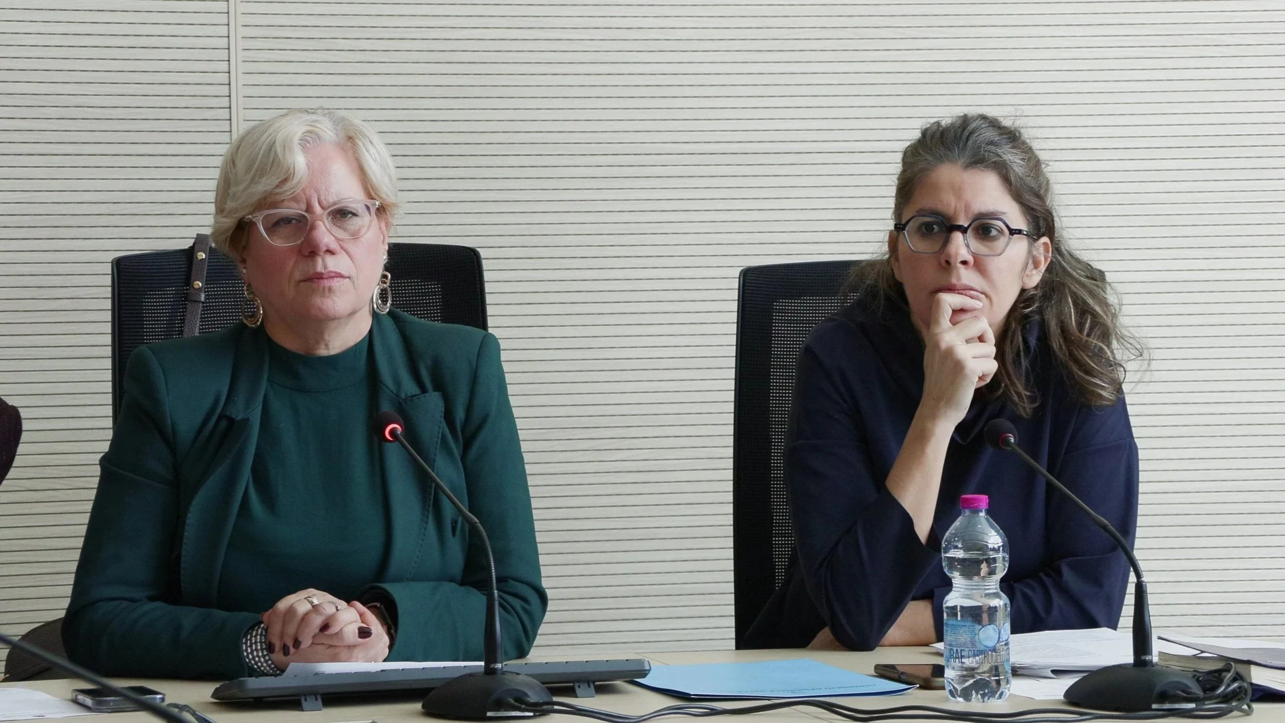 V Commissione, Capone: “Una seduta importante su due temi cruciali, erosione costiera e impatto ambientale da parco eolico”