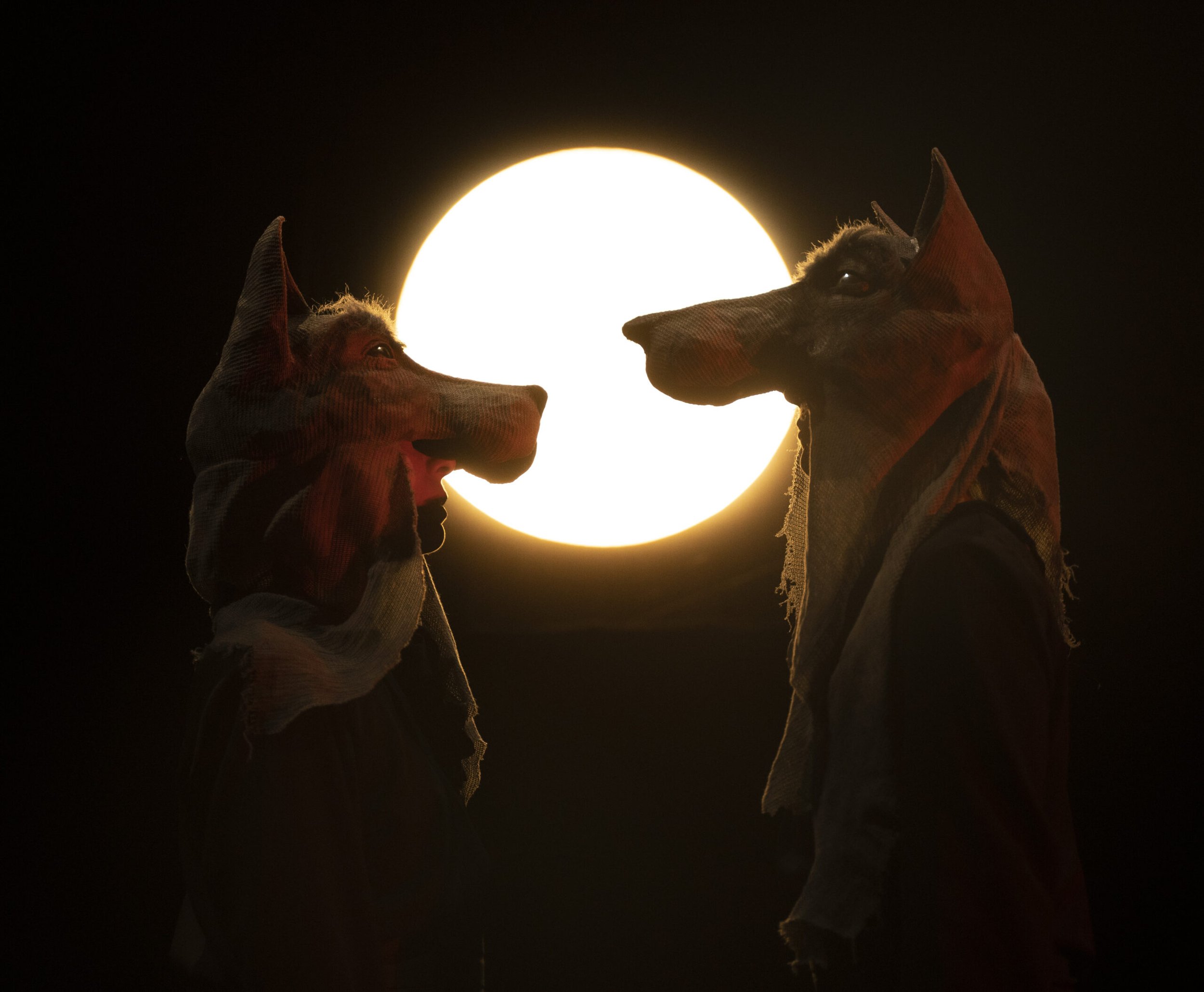 Doctor Frankenstein A.I. e Rosaluna e i lupi per i Teatri del Nord Salento al Teatro Comunale