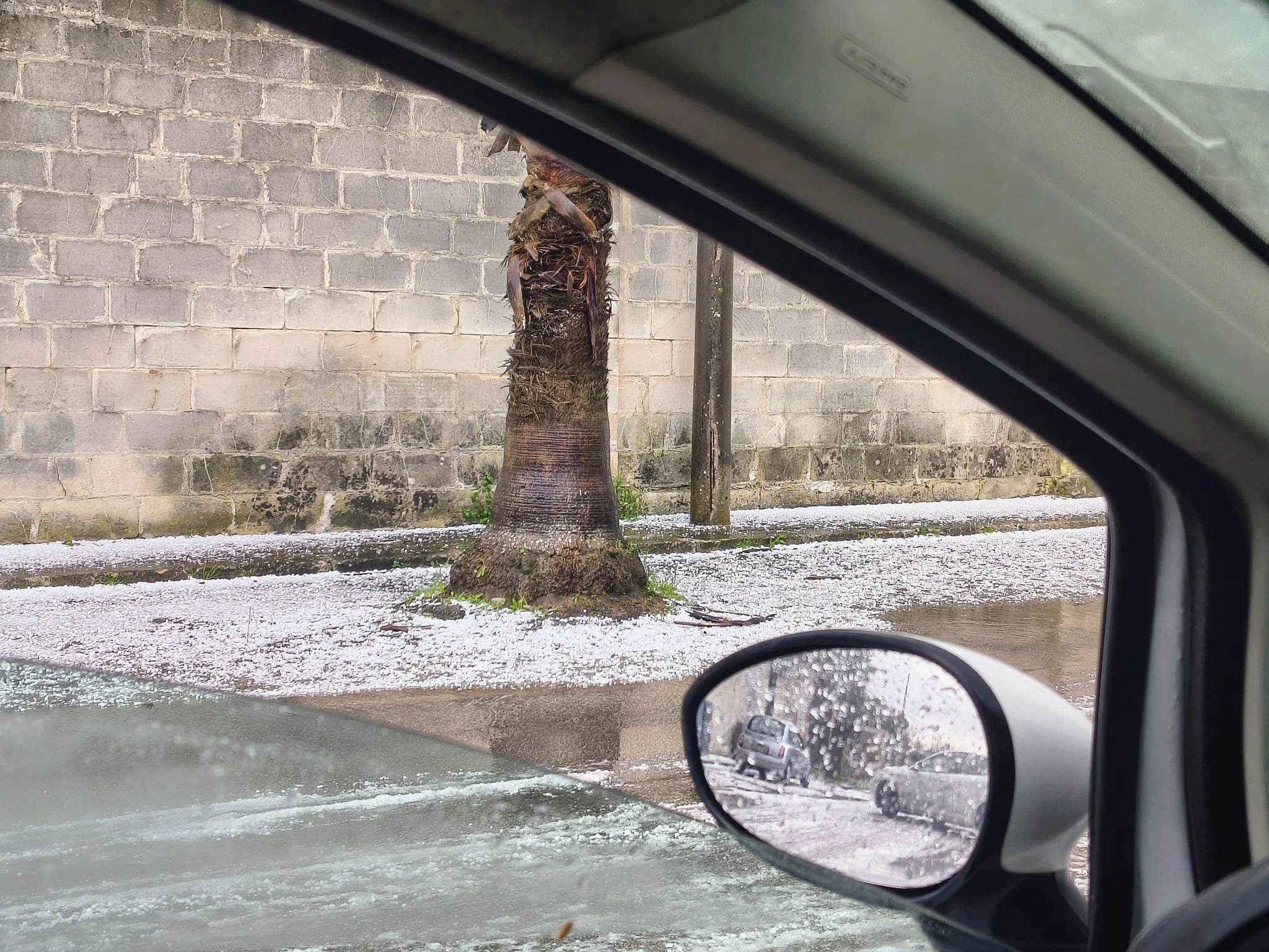 WhatsApp Image 2026-03-24 at 08.16.34 (2).jpeg