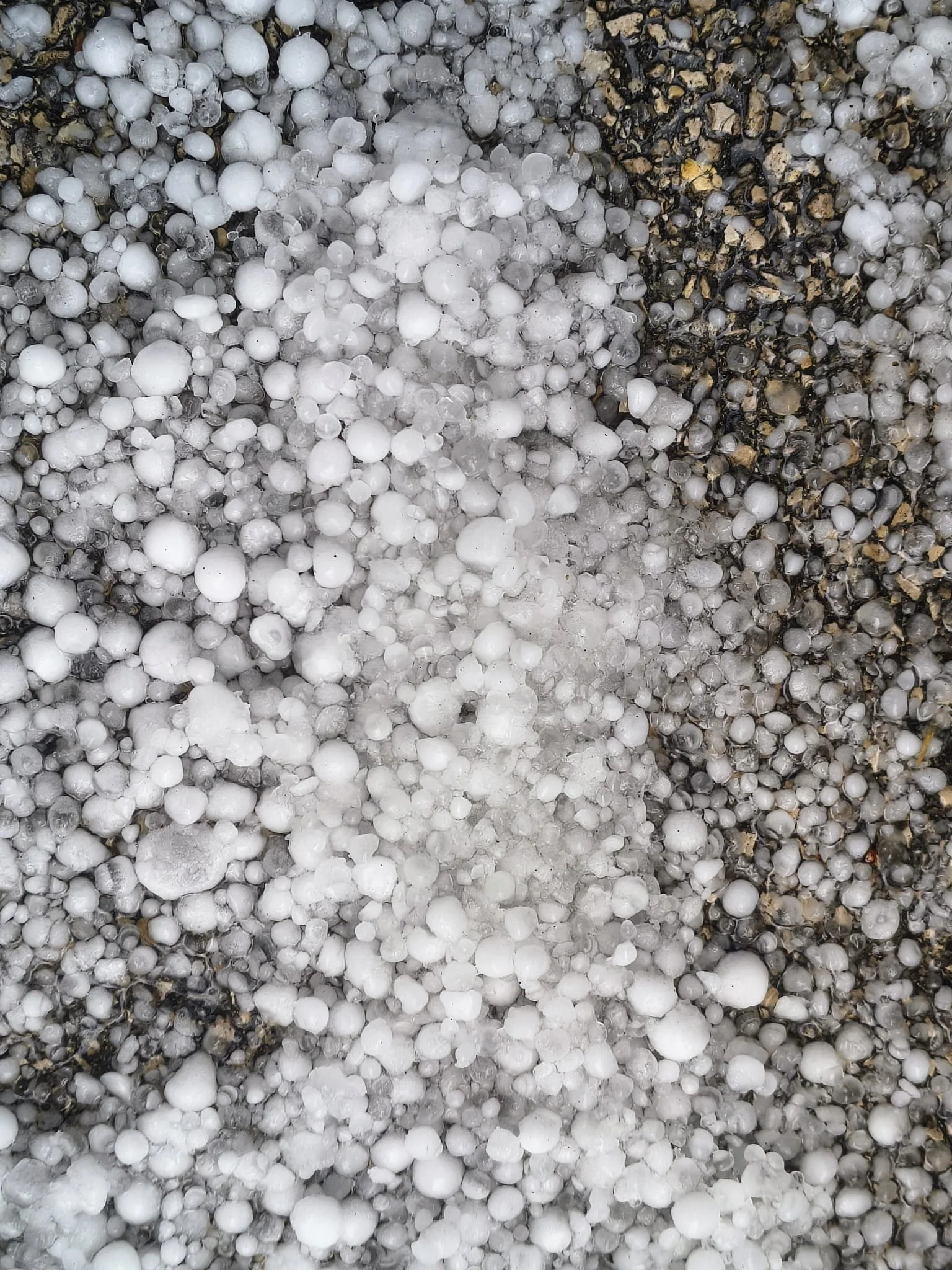 WhatsApp Image 2026-03-24 at 08.15.11.jpeg