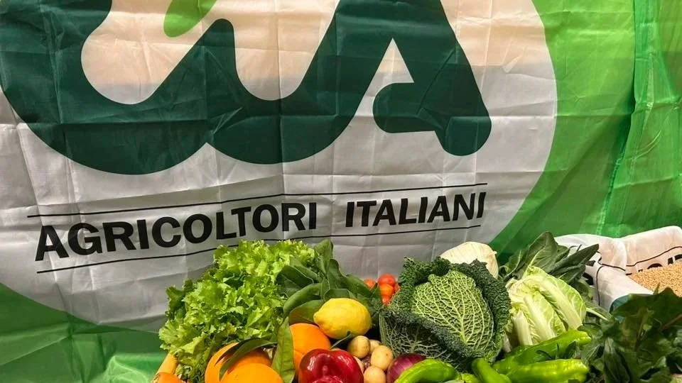 Agricoltura, Puglia leader ma costi di produzione alle stelle e concorrenza sleale