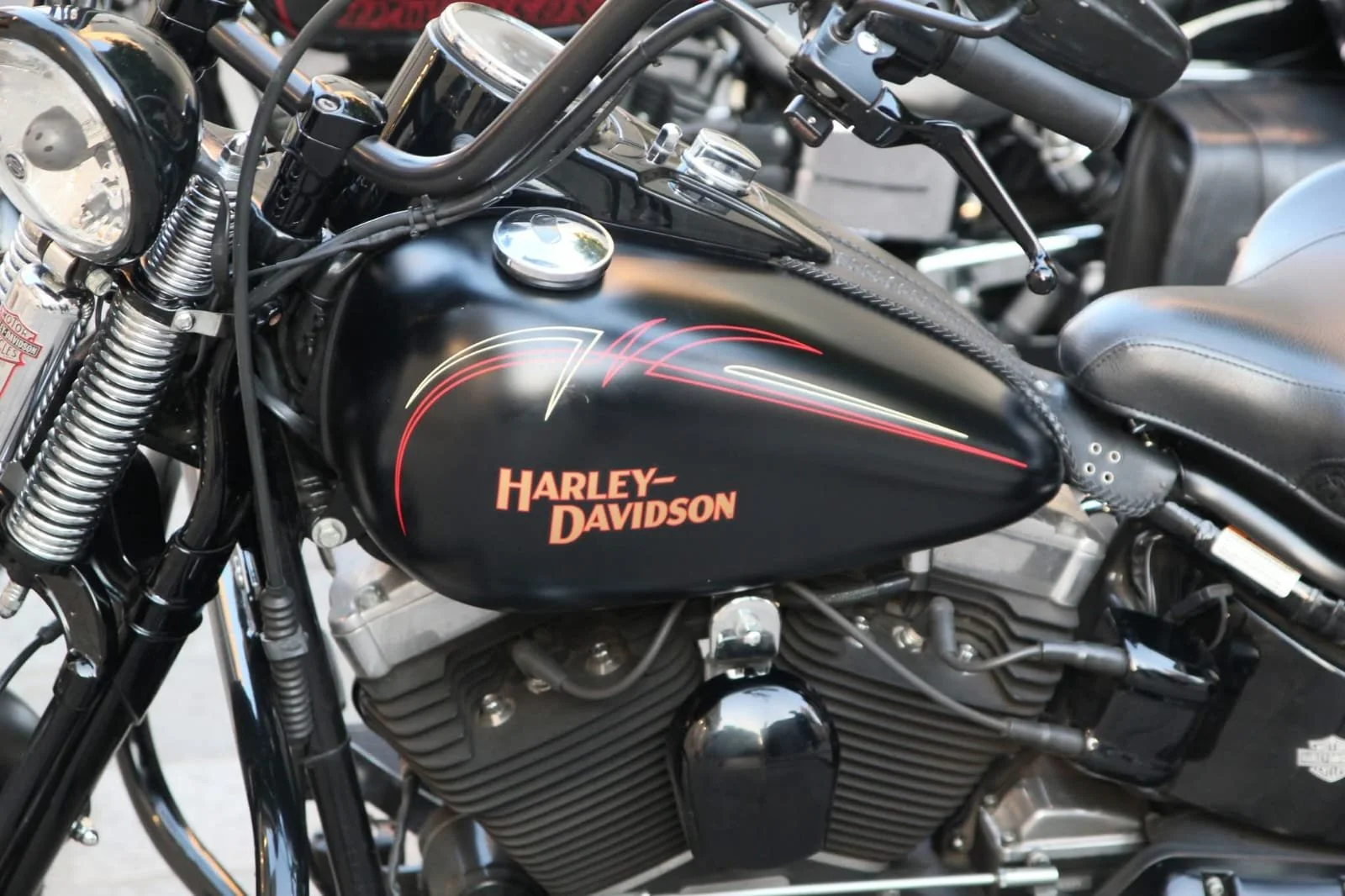 WhatsApp Image 2026-04-13 at 08.13.15.jpeg