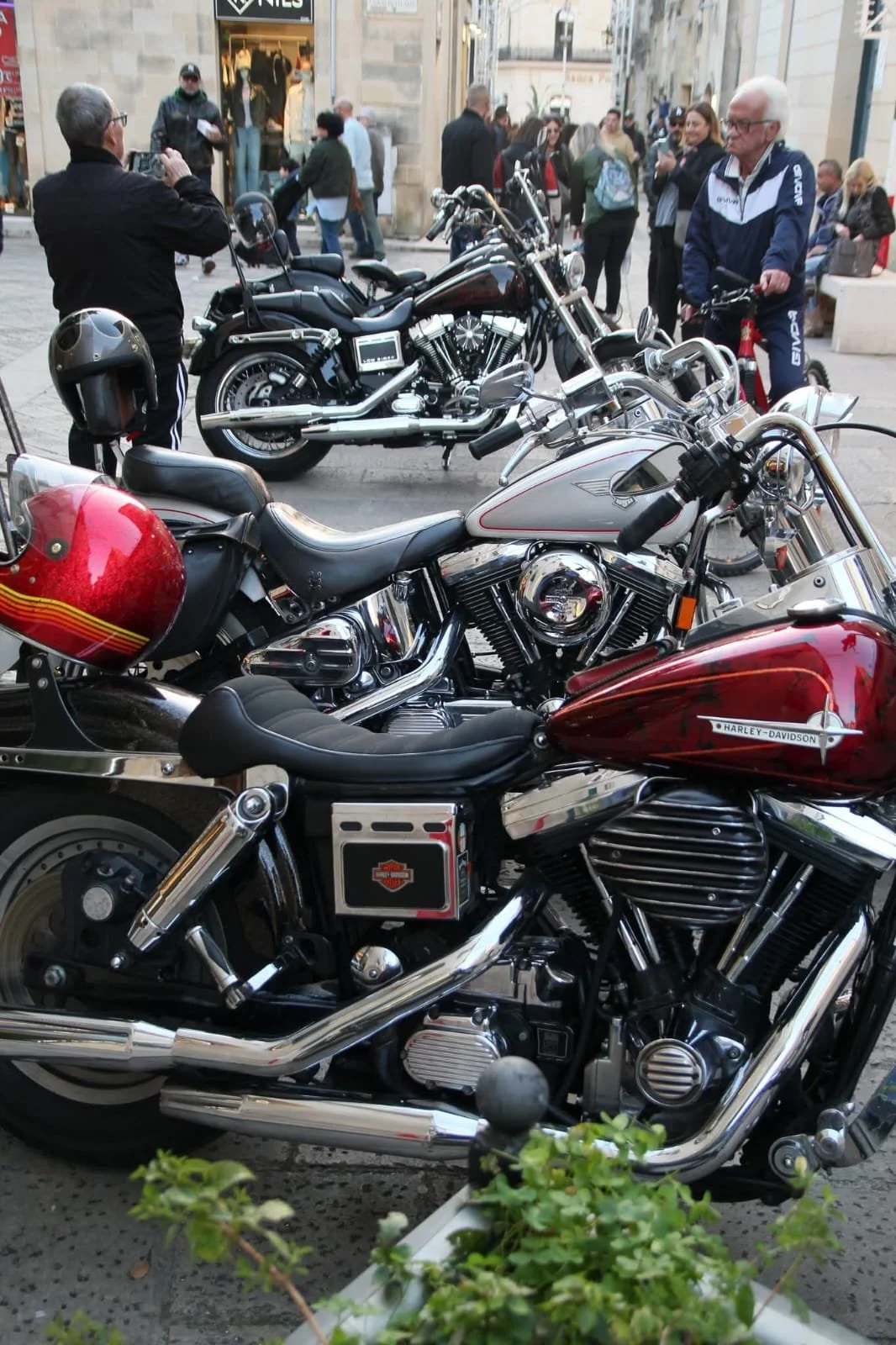 WhatsApp Image 2026-04-13 at 08.13.16.jpeg