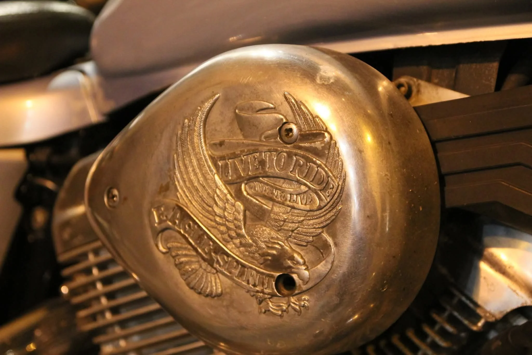 WhatsApp Image 2026-04-13 at 08.13.17.jpeg