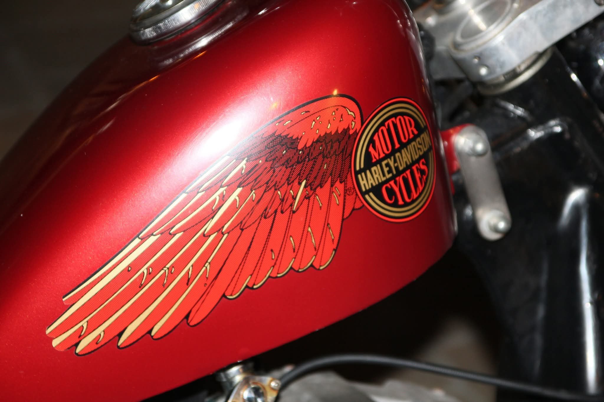 WhatsApp Image 2026-04-13 at 08.13.19.jpeg