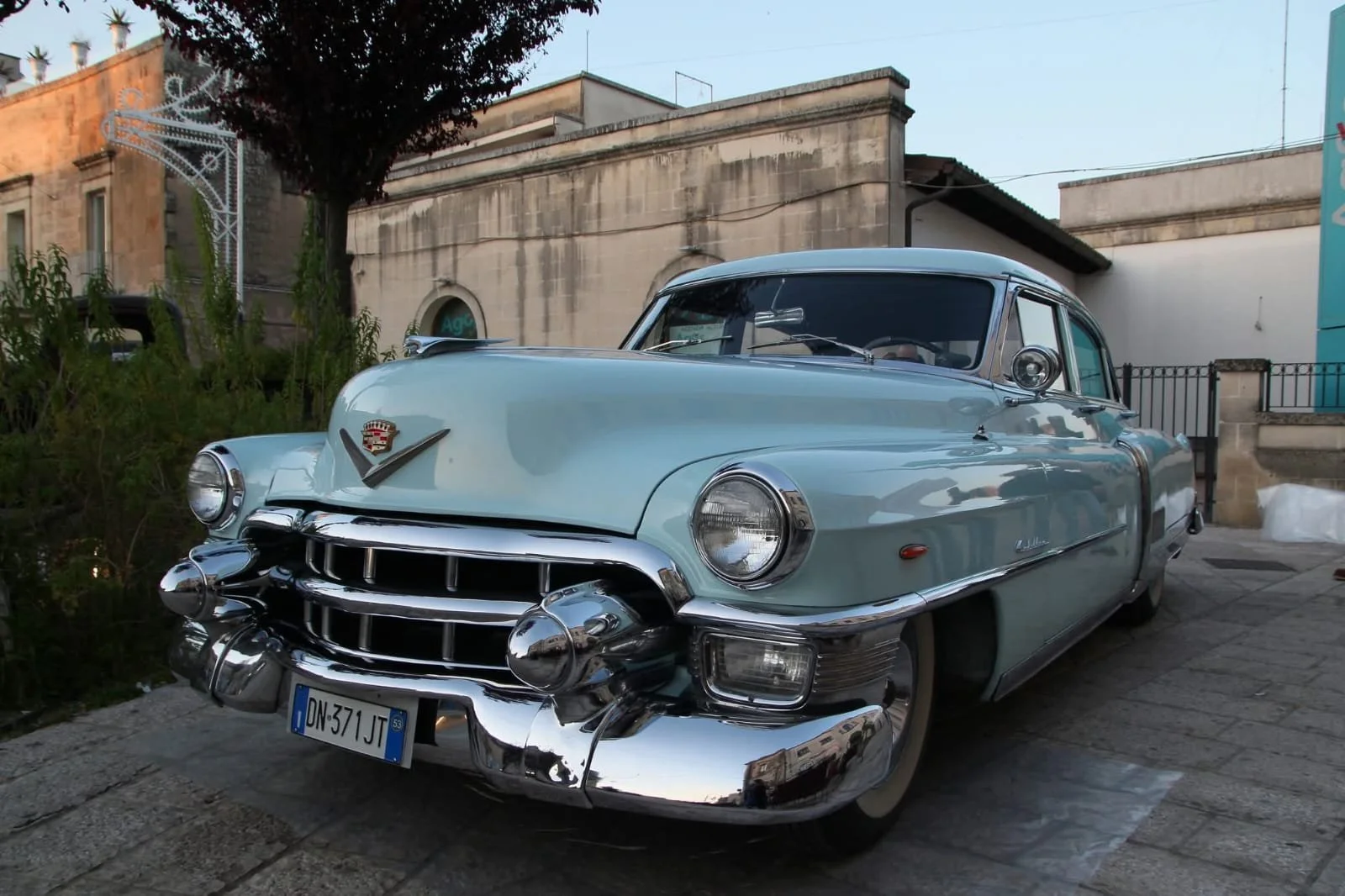 WhatsApp Image 2026-04-13 at 08.13.18 (2).jpeg