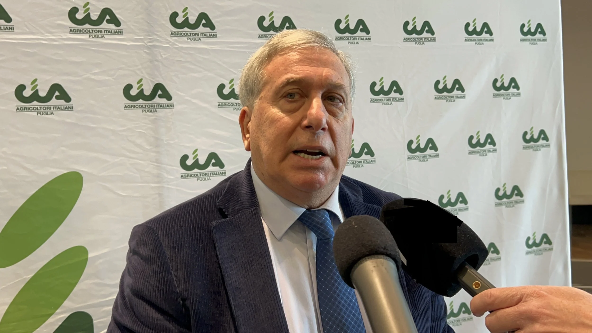 Misure di contrasto alla Xylella, Sicolo suona la sveglia: ": “Comuni, Province ed enti facciano la loro parte"