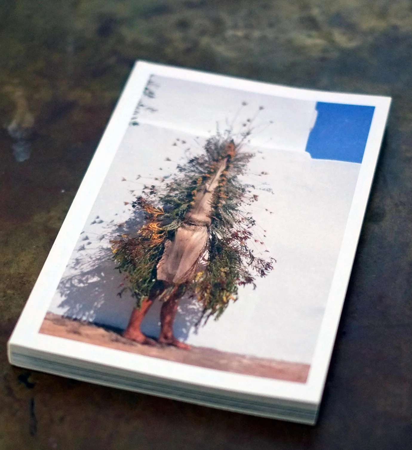 La prima edizione di Fiera MadreTerra al Castello Volante, in occasione della tradizionale Fiera di San Giorgio