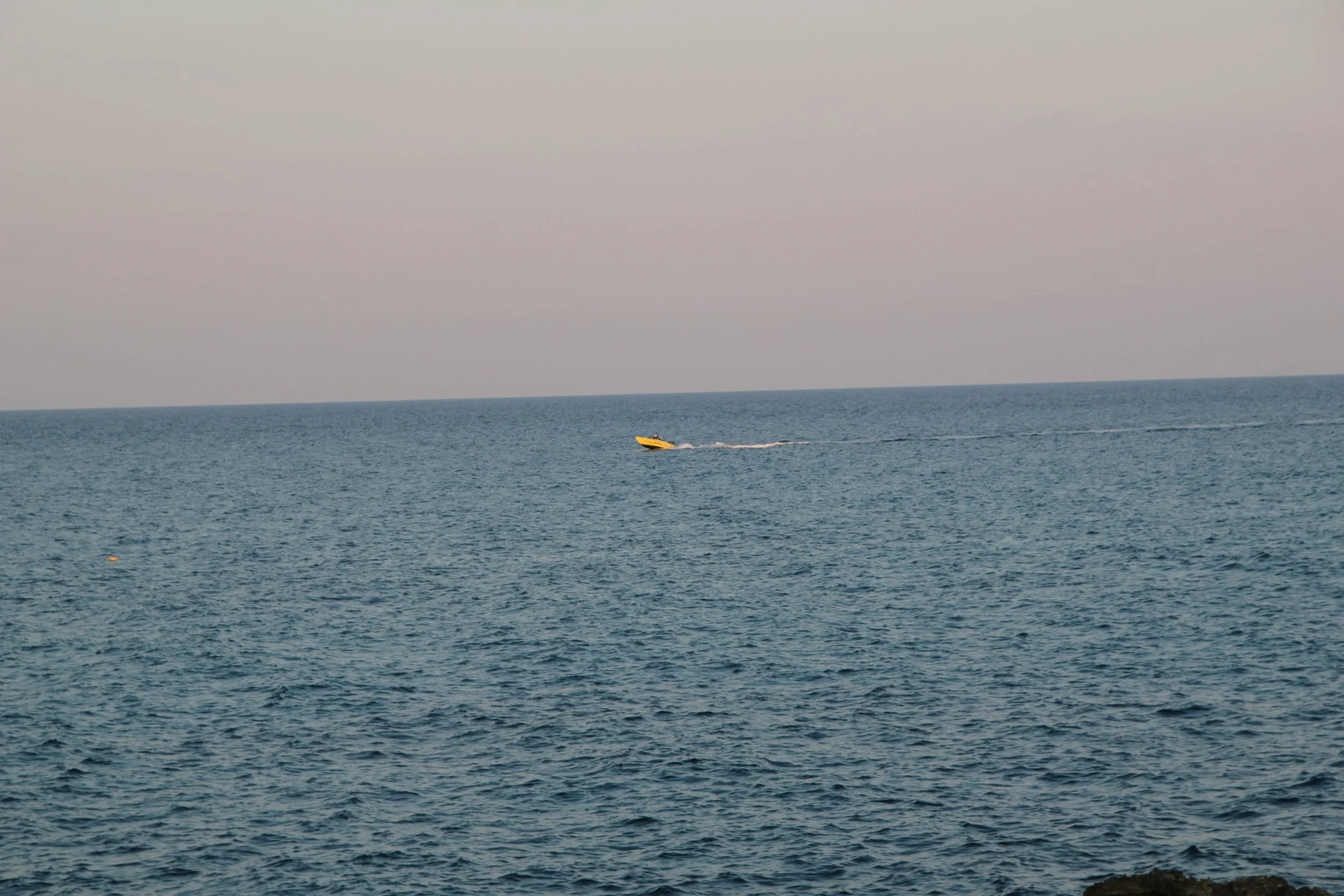 IMG_9531.JPG