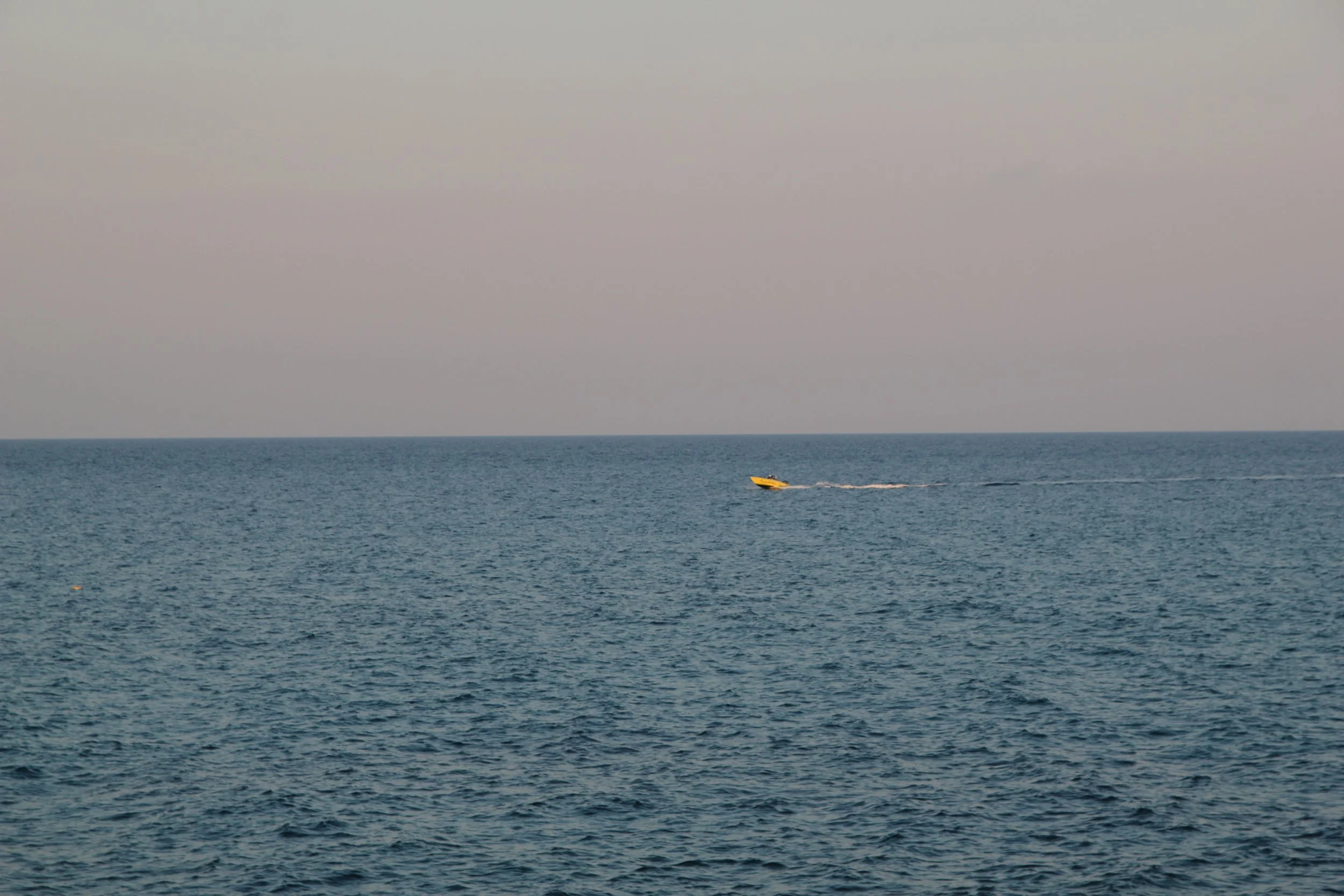 IMG_9530.JPG