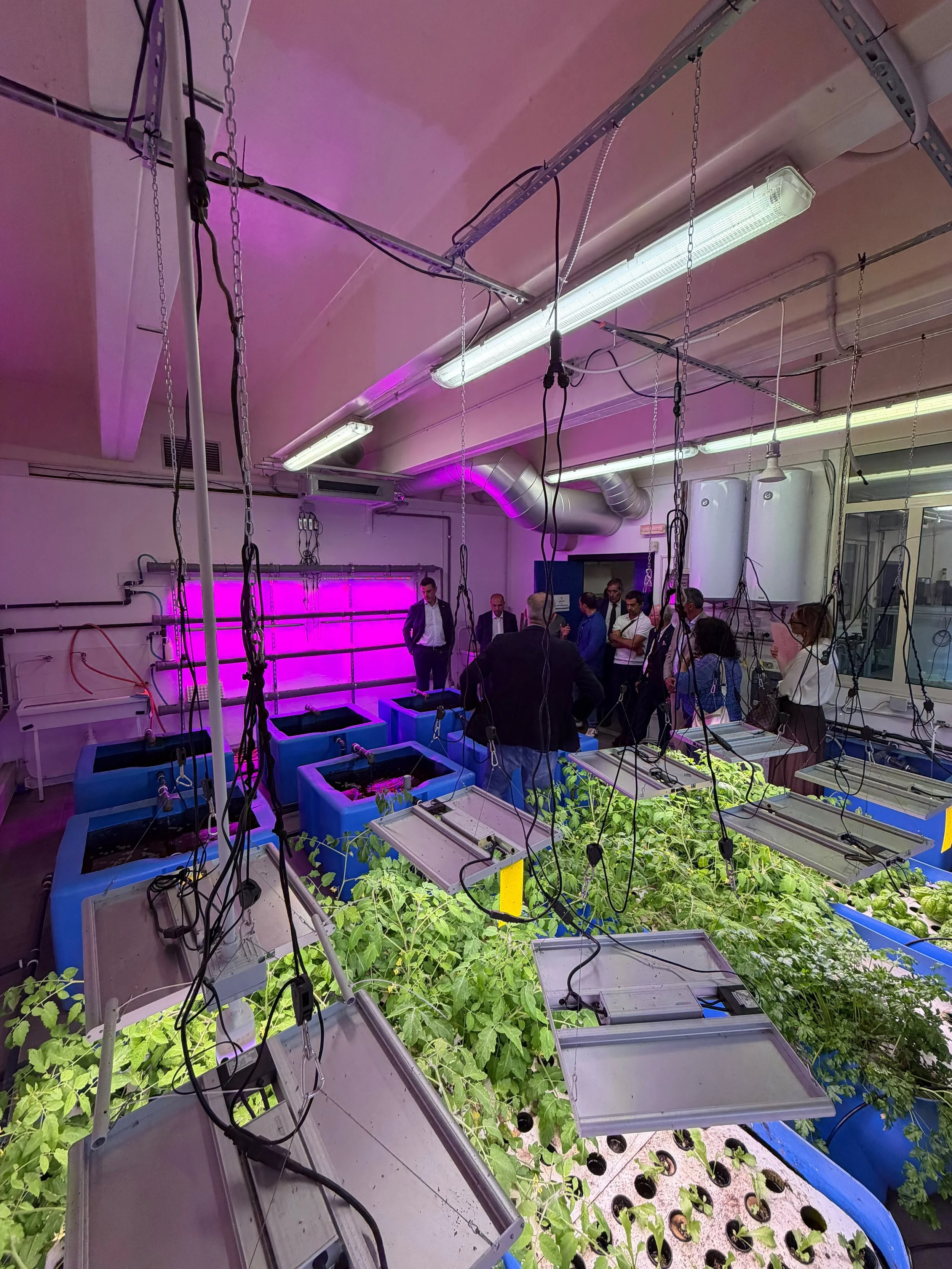 CIA e Università del Salento: “Ricerca e cooperazione il futuro dell’agricoltura”