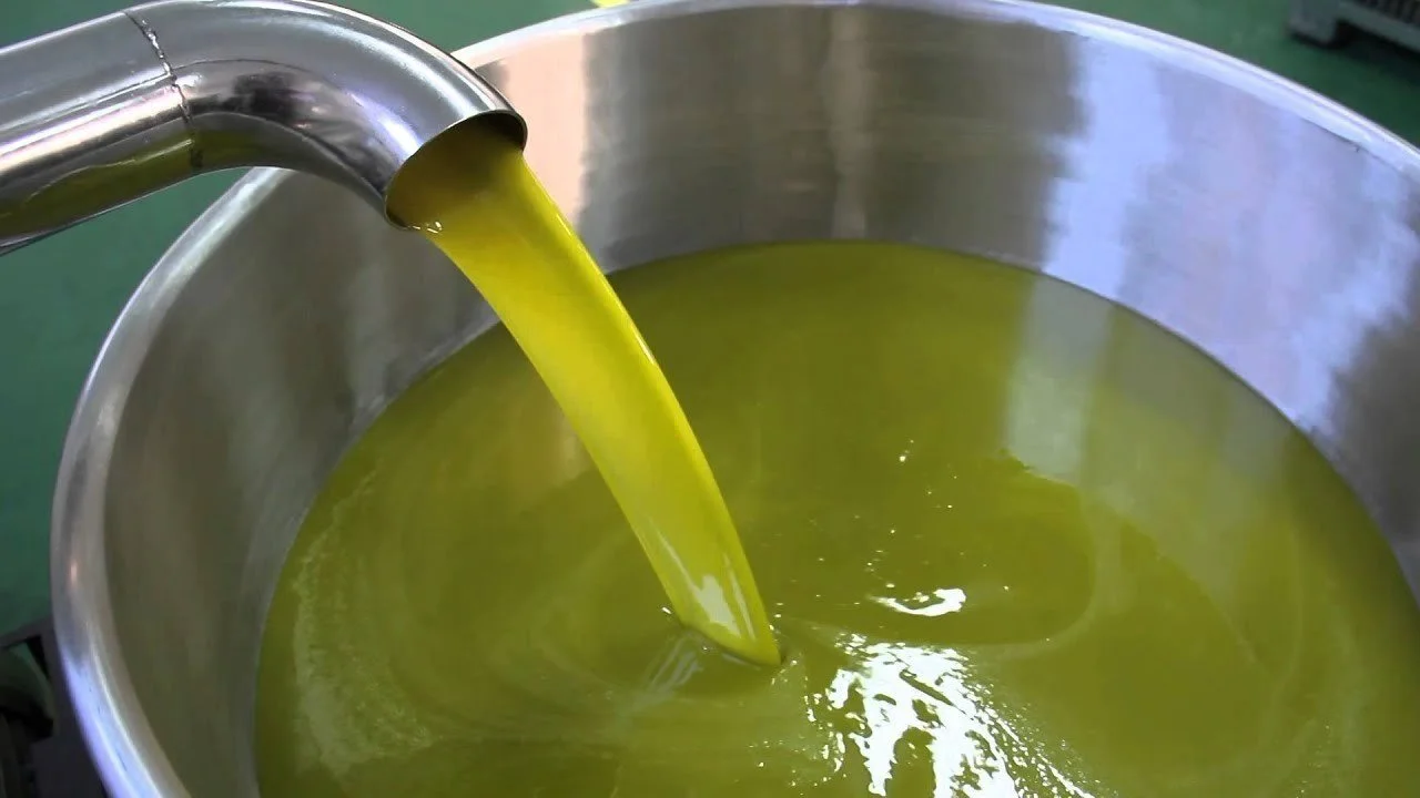 “Primi passi in avanti sulla crisi dell’olio, continuiamo interlocuzione con Governo e Regioni”
