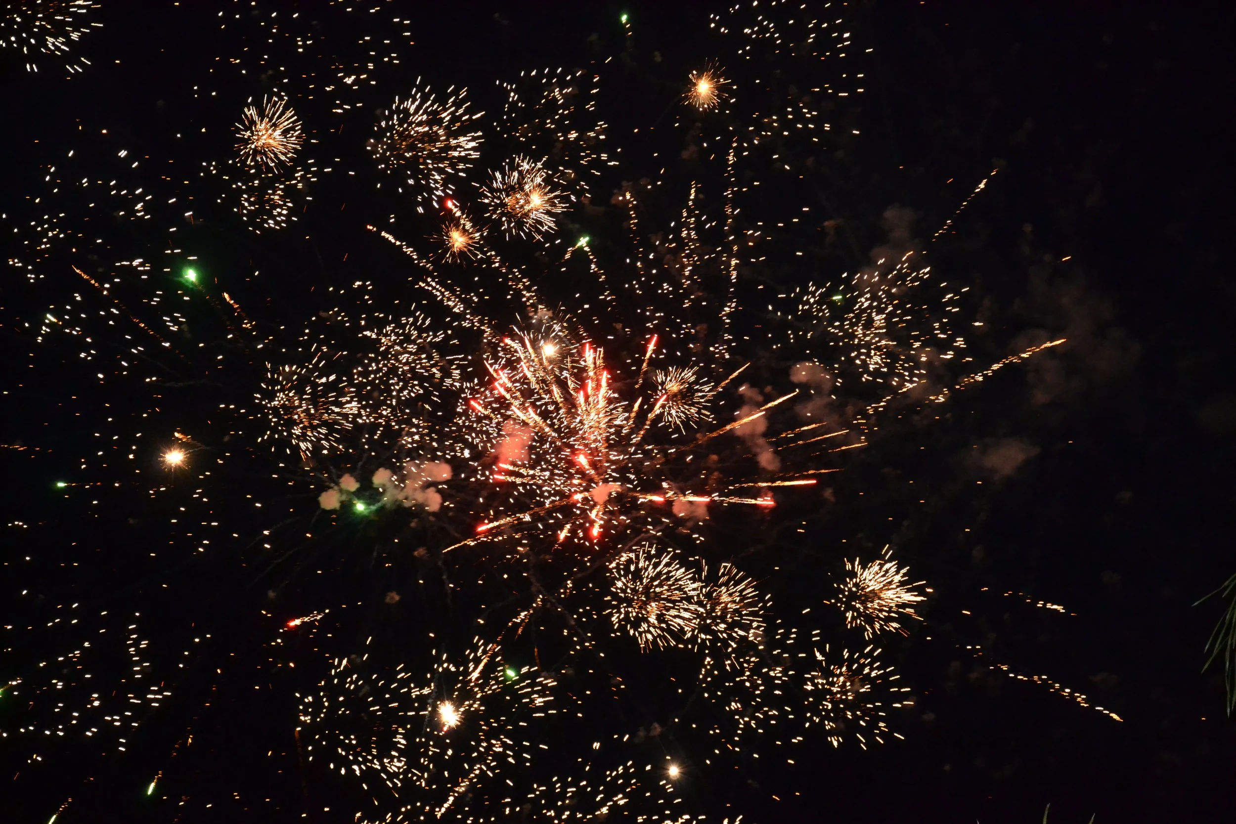 DSC_0047.JPG