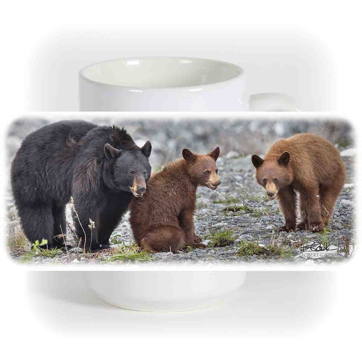 Bear Family.jpg