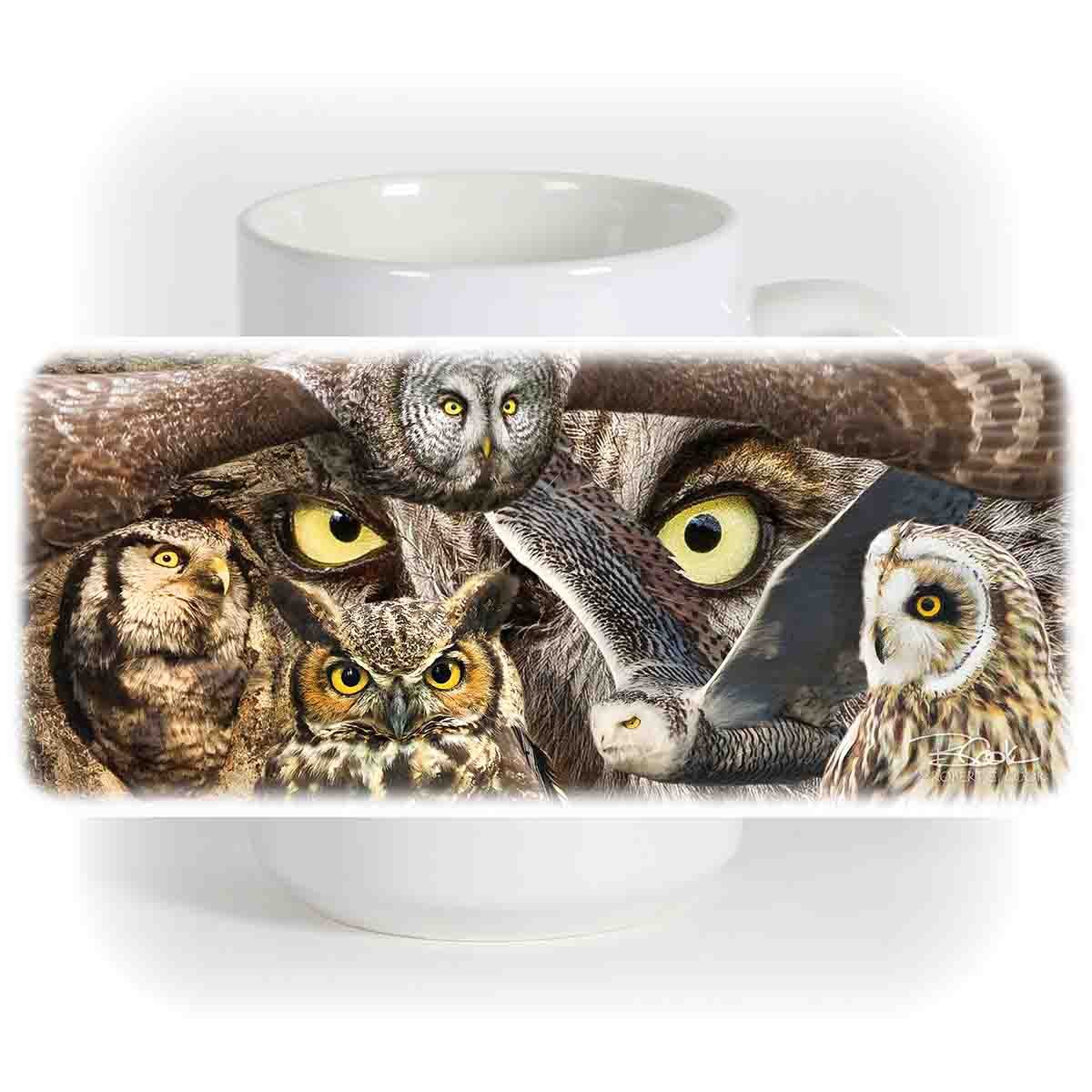 Owls.jpg
