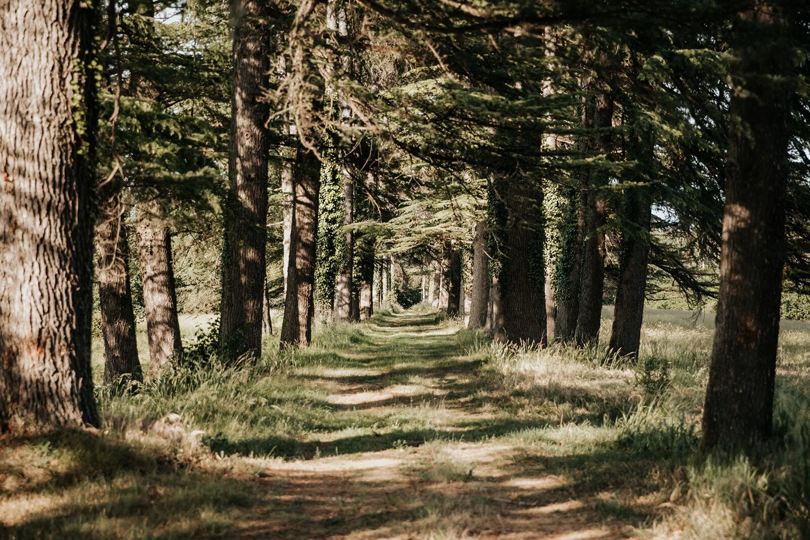 wandelen in dordogne