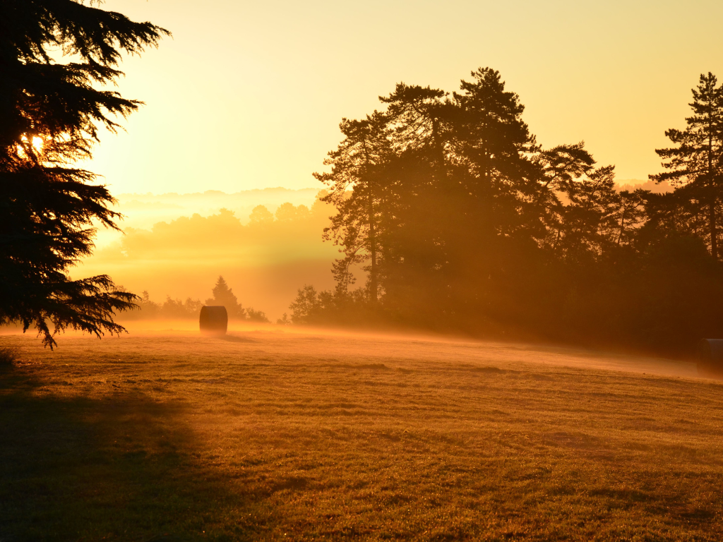 Een uitgestrekt grasveld met hooiballen, omringd door grote bomen, bij zonsopgang of zonsondergang met een warme, gouden gloed.