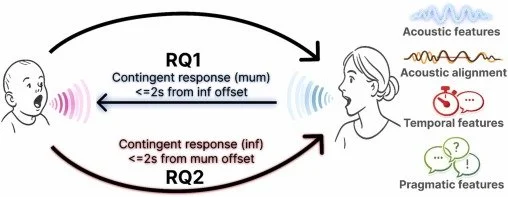 Characterising caregivers’ contingent responses: Short, slow, and clear speech facilitates infant turn-taking