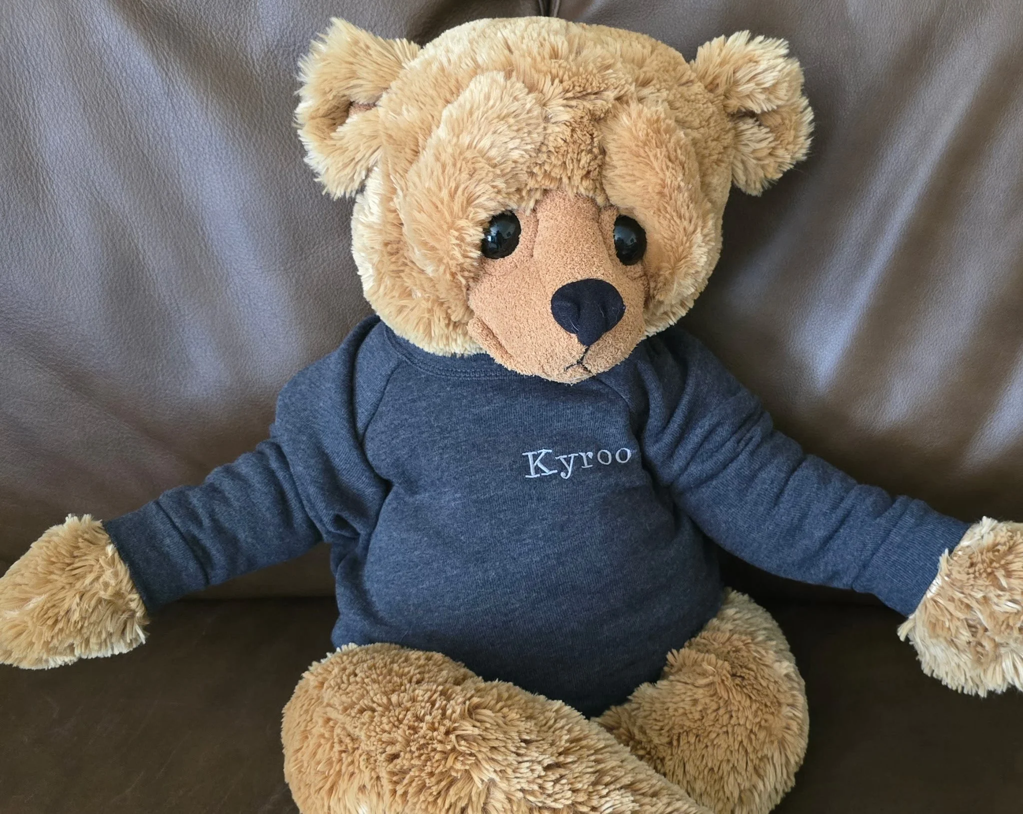 Toddler sweatshirt with personalized name