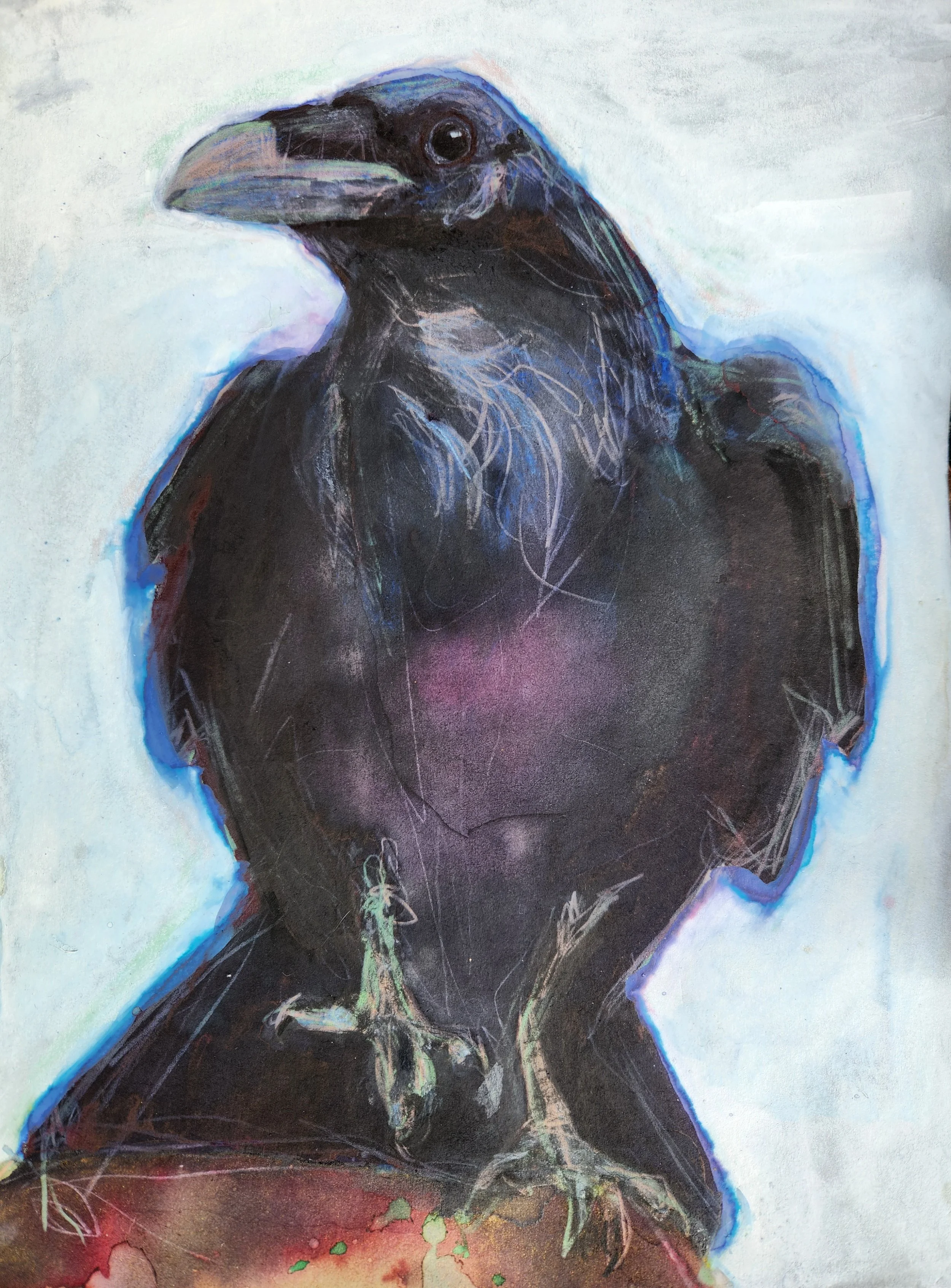Trailcam Raven, North Carolina (2024) [SOLD], Ink, mixed-media