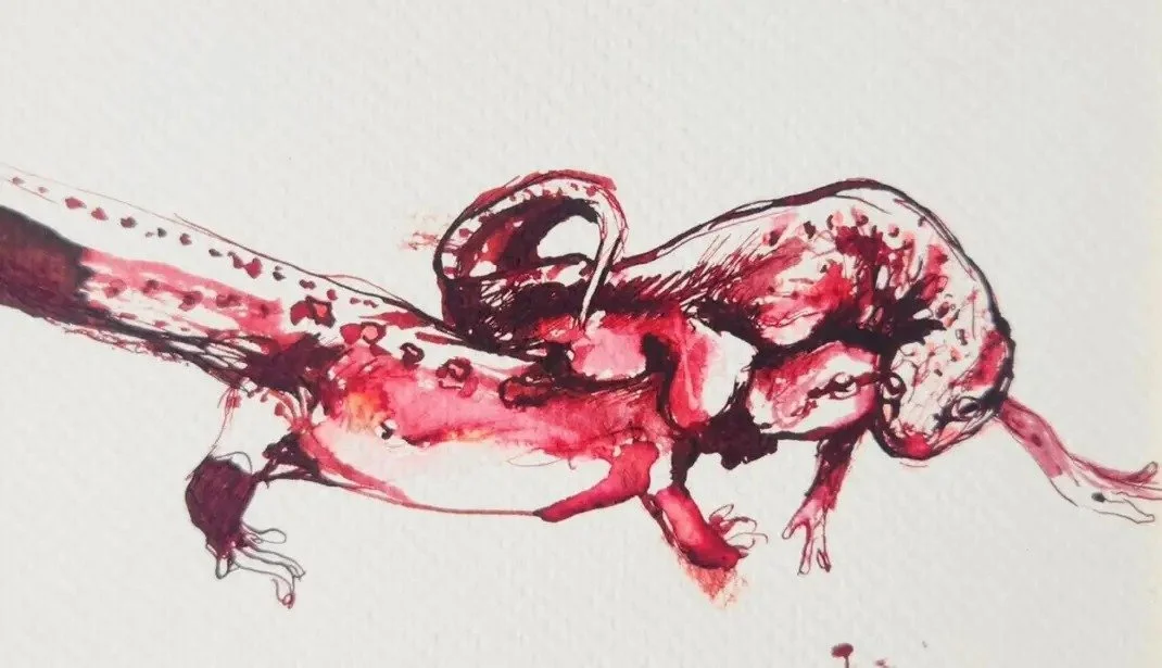 Enmeshment (2023), ink
