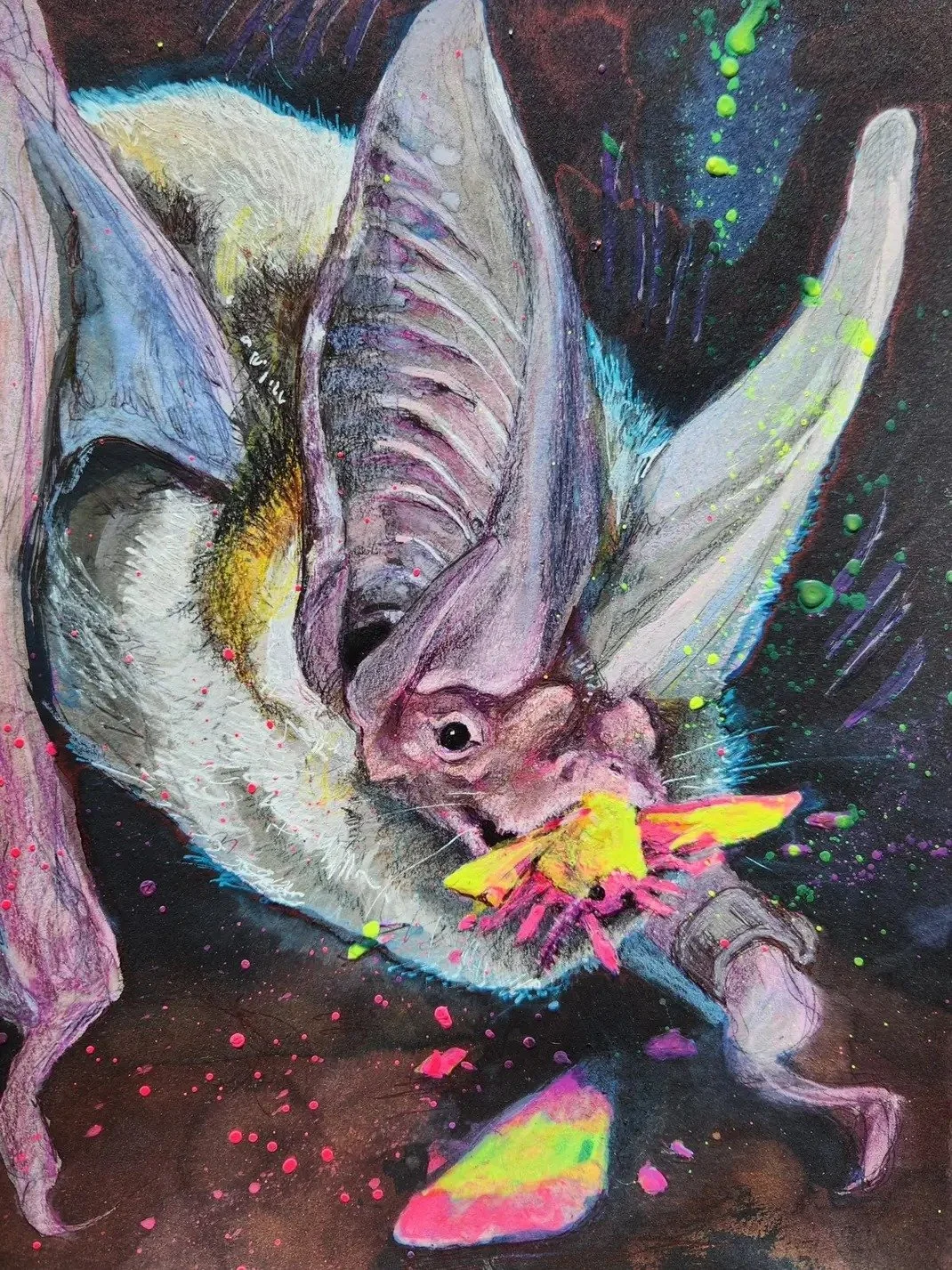 The Empress and the Rosy Maple Moth (2026), mixed-media on paper