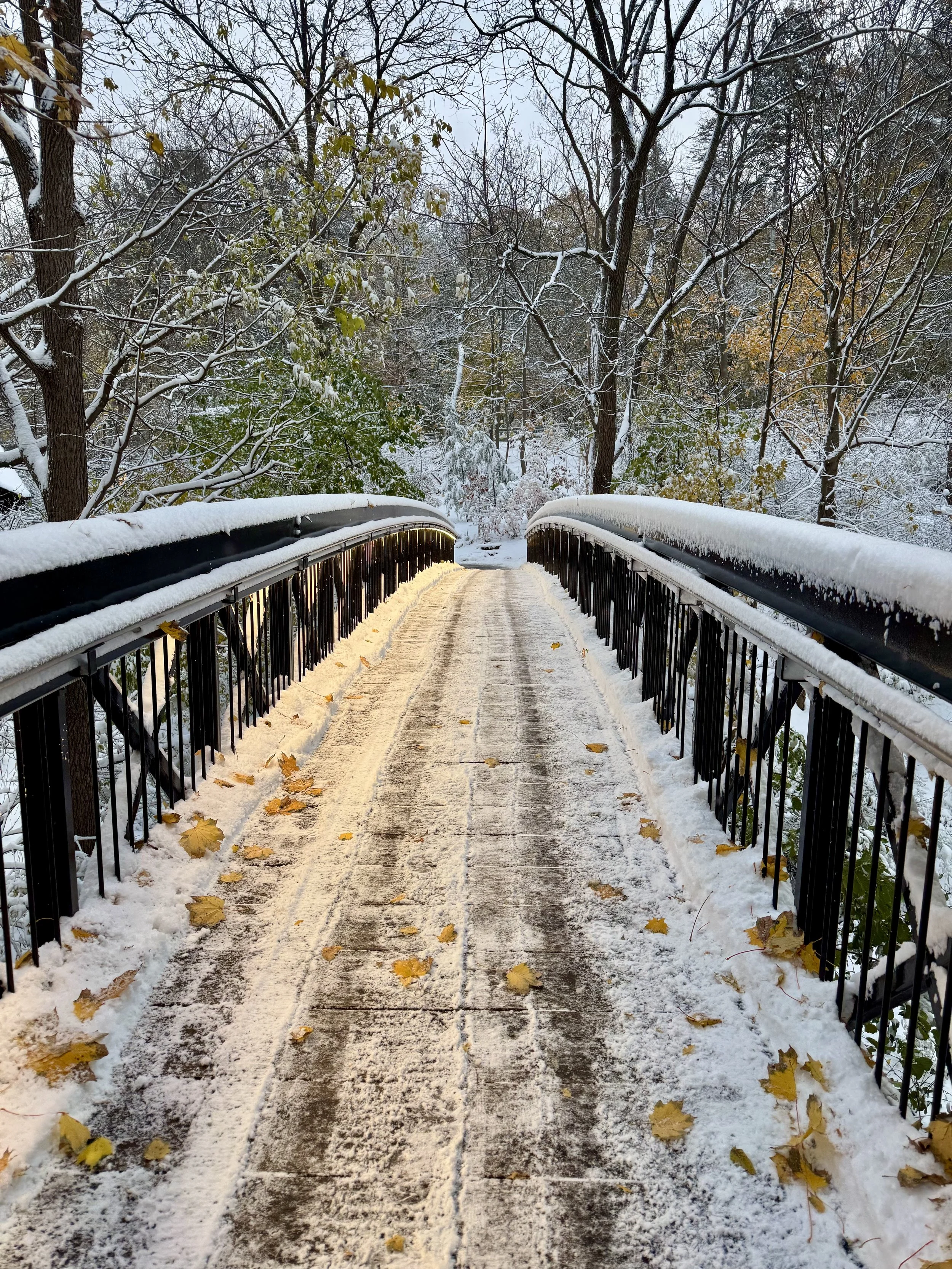 A few thoughts on how you should approach AI for success in 2026