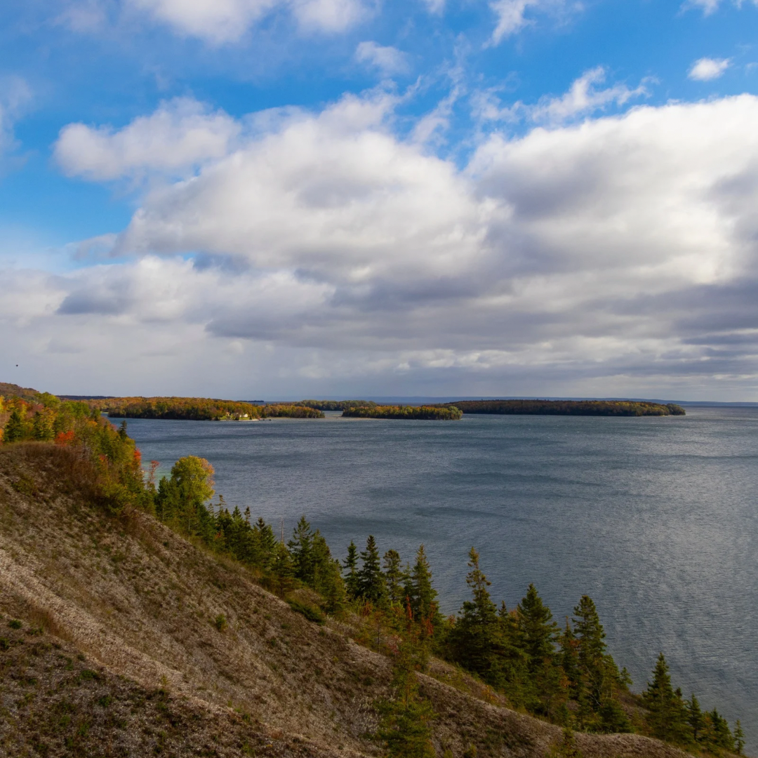 Untitled design - 2.png