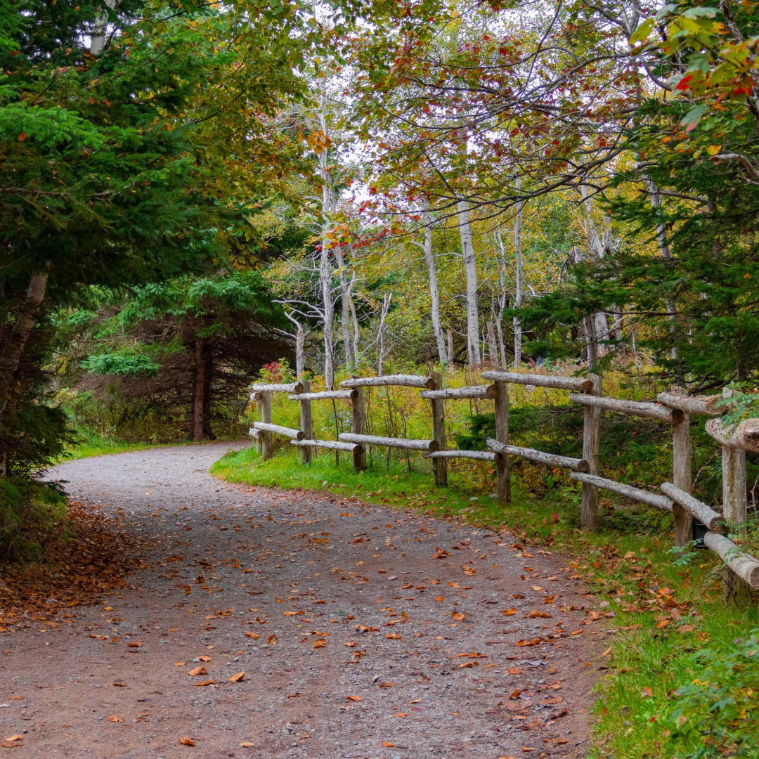 Untitled design - 11.png