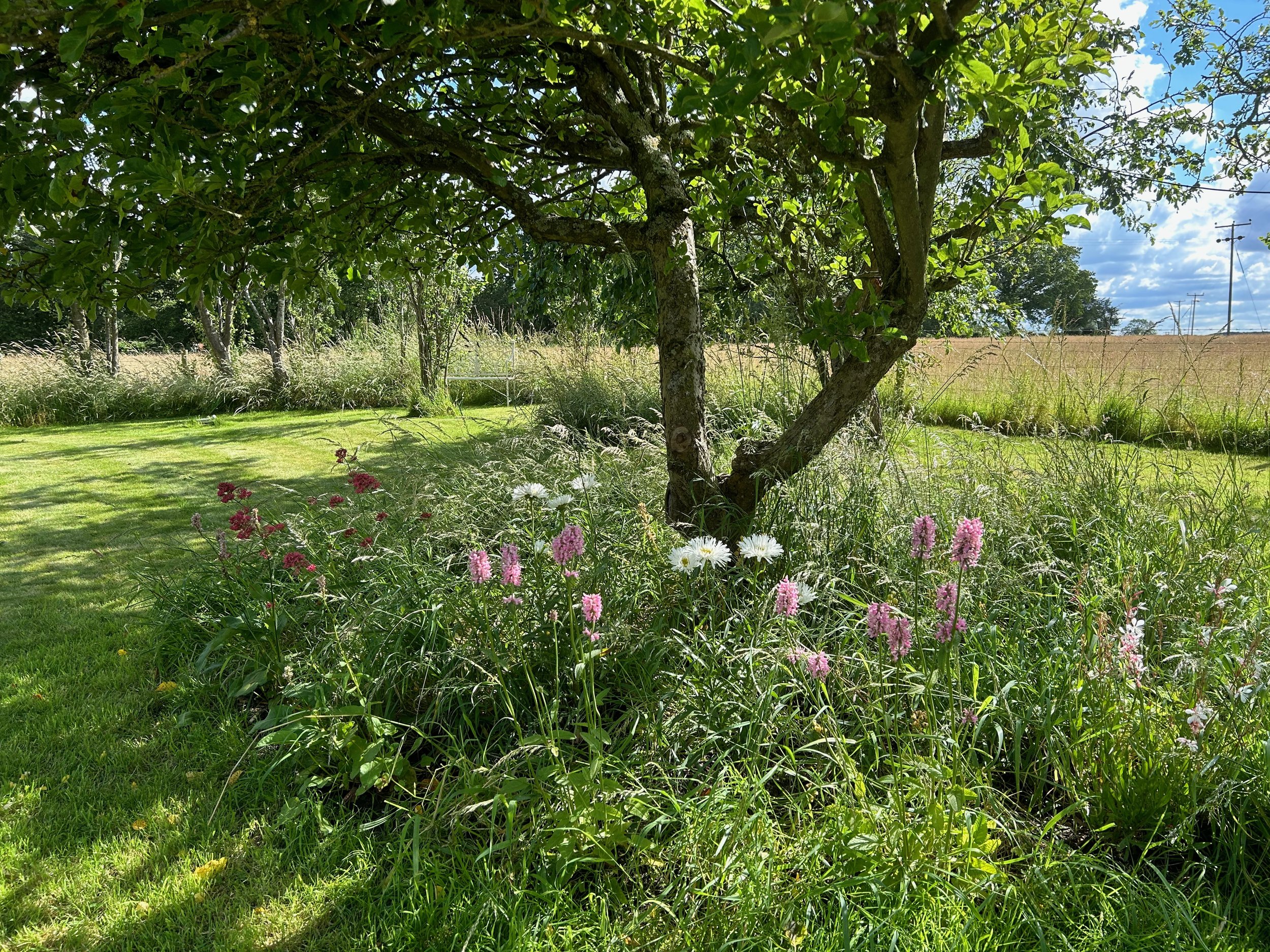 Stanhoe Open Gardens