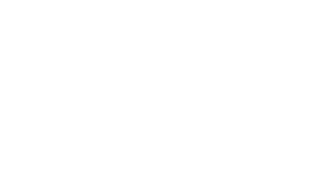 Epilepsy Foundation New England