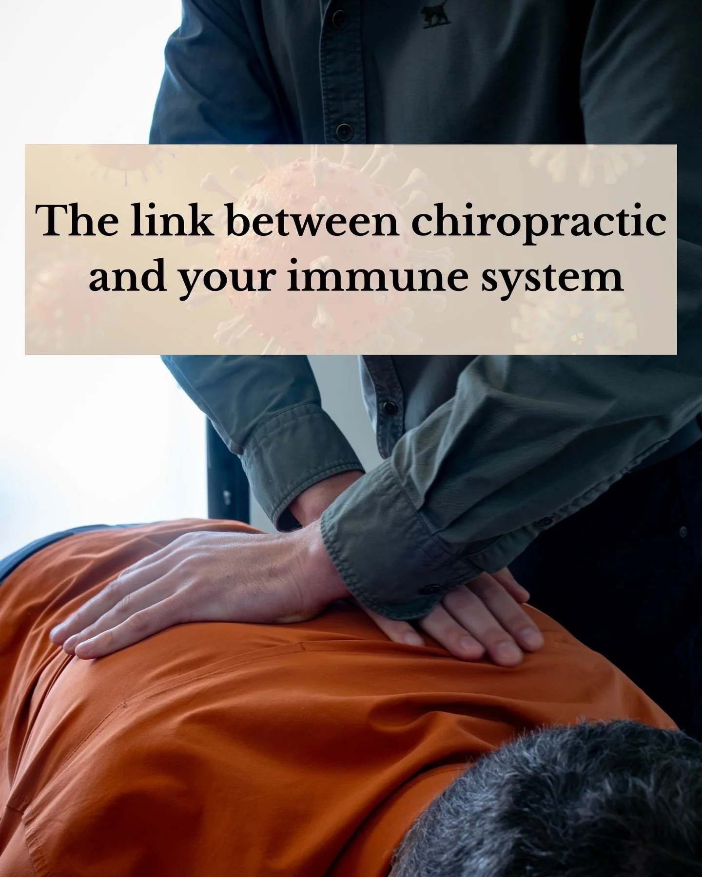The link between chiropractic and your immune system.

Help support your health and your families help by getting checked and adjusted.

#aucklandchiropractor #mahoneyfamilychiropractic #immunesystem #localfamilychiropractor #beachhaven
