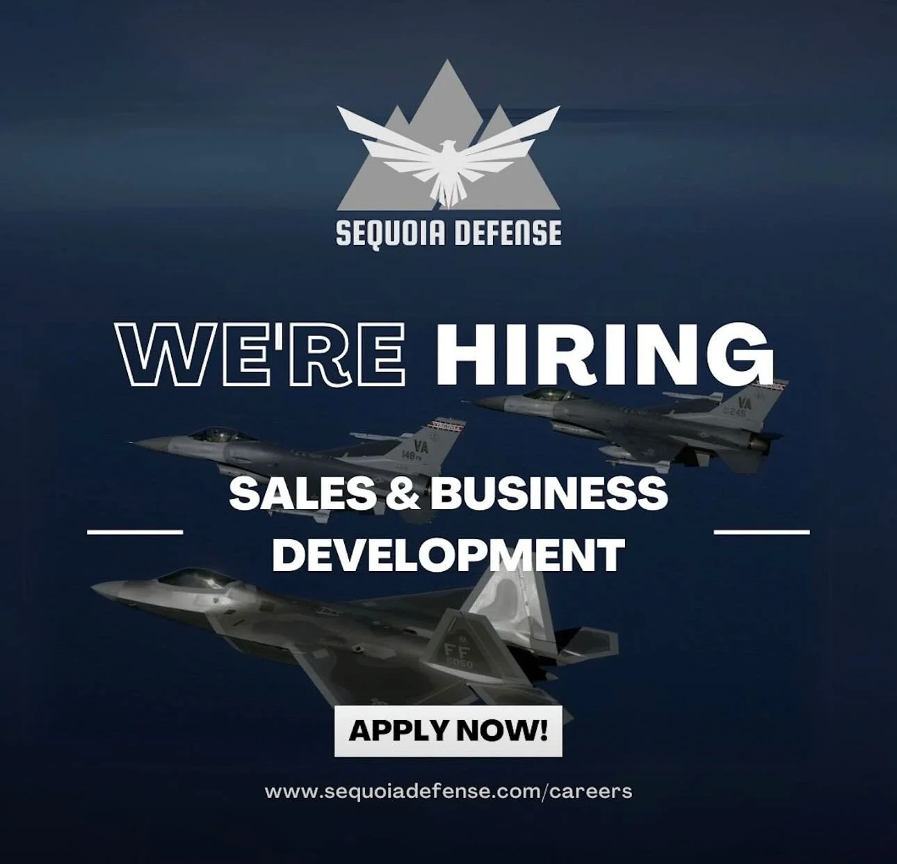 Sequoia Defense is #hiring. We are growing fast!

We are looking for a Sales &amp; Business Development Representative who wants ownership, real responsibility, and a front-row seat to building a high-growth #aerospace and #defense company.

This is 