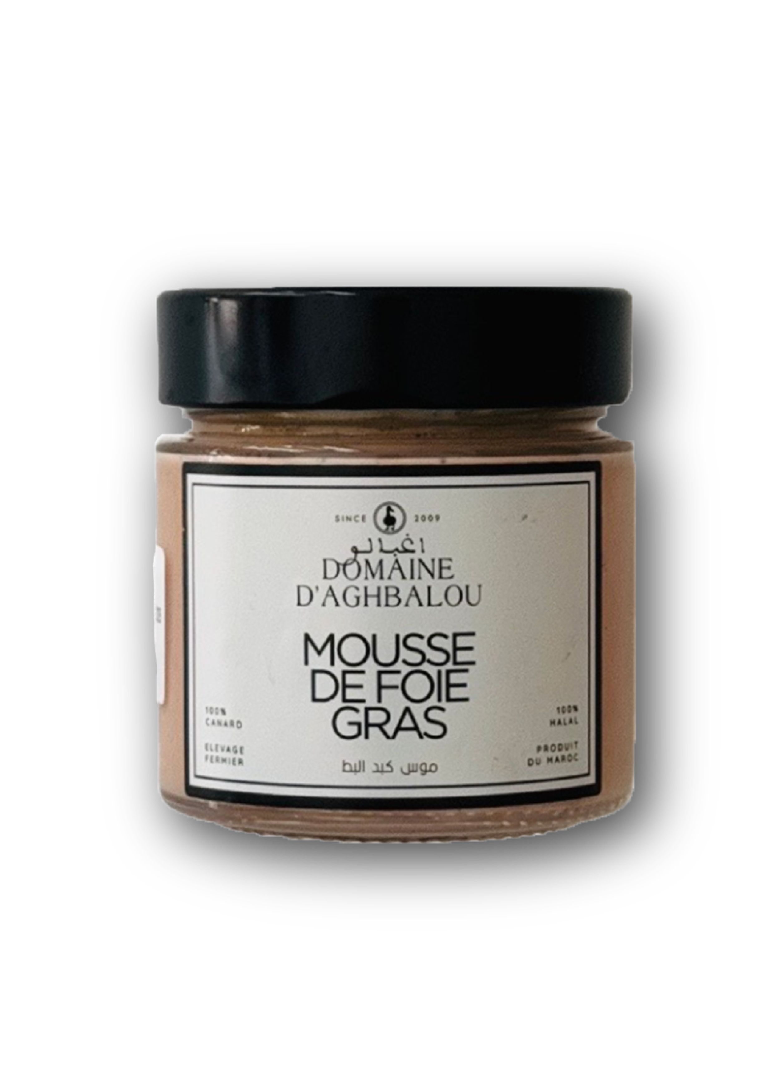 Plan de travail 1 copie 35@4x.png