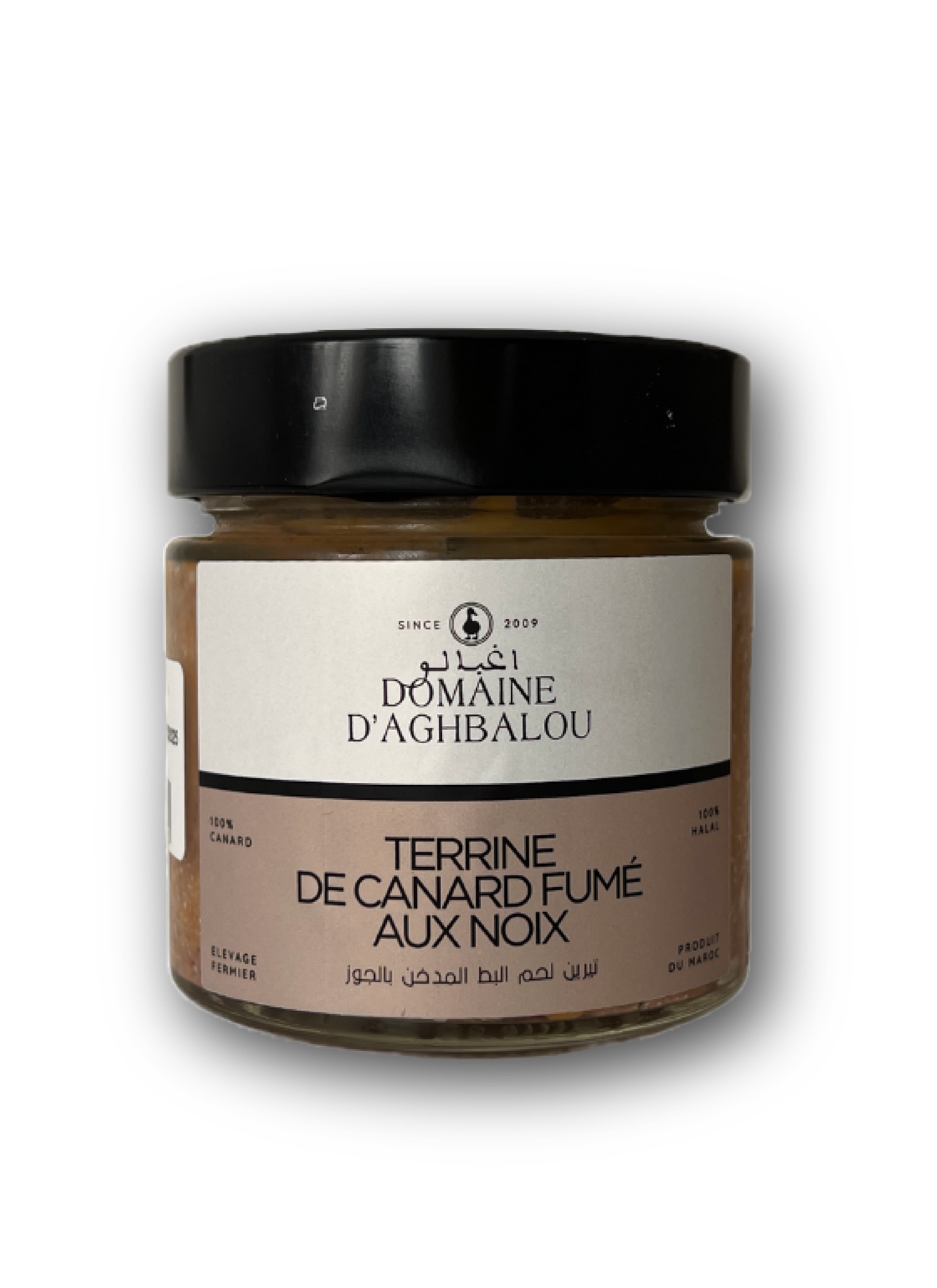 Plan de travail 1 copie 41@4x.png