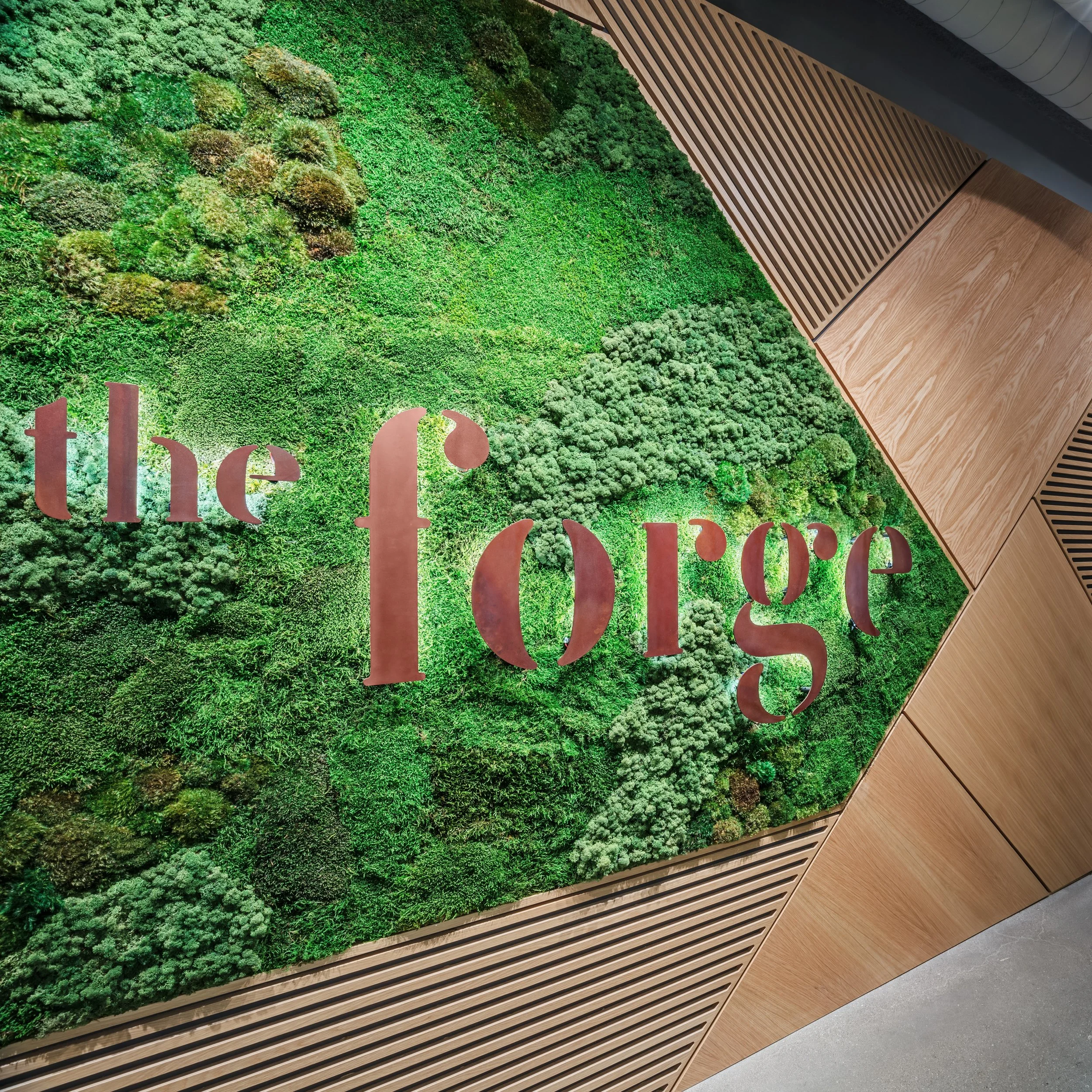 THE FORGE