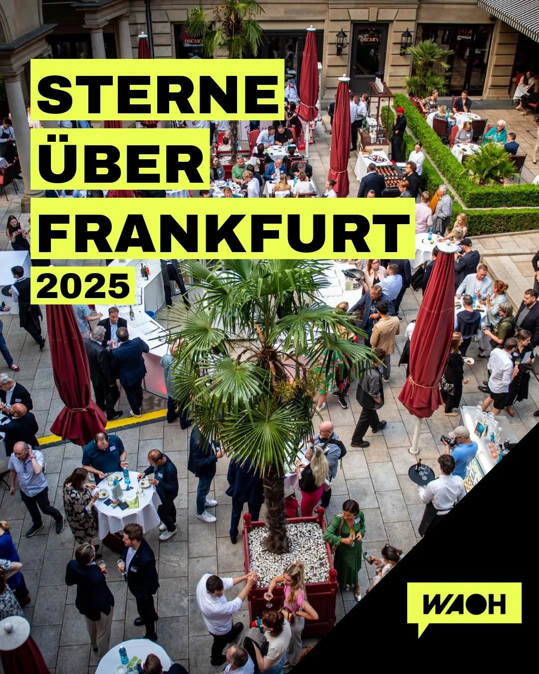🌟 R&uuml;ckblick 2025 🌟

Was f&uuml;r ein Jahr! Unsere &ldquo;Sterne &uuml;ber Frankfurt&rdquo; Events 2025 waren einfach unvergesslich. Die Atmosph&auml;re, die Menschen und nat&uuml;rlich die atemberaubenden Sternen &ndash; alles war perfekt! 🌌
