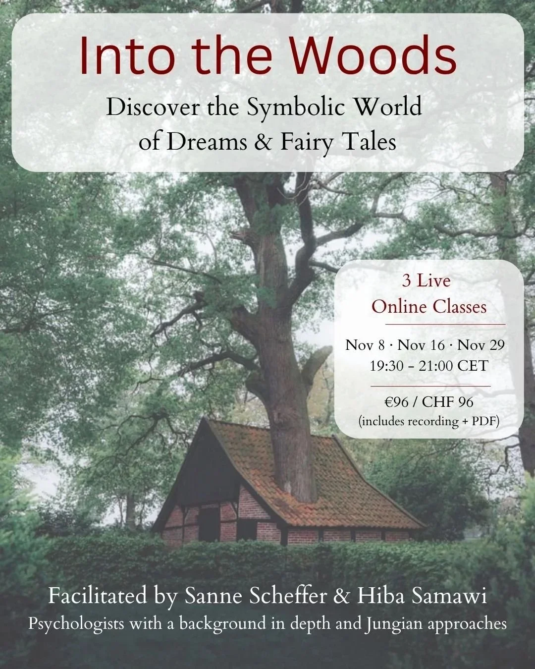Into the Woods: Discover the Symbolic World of Dreams & Fairy Tales