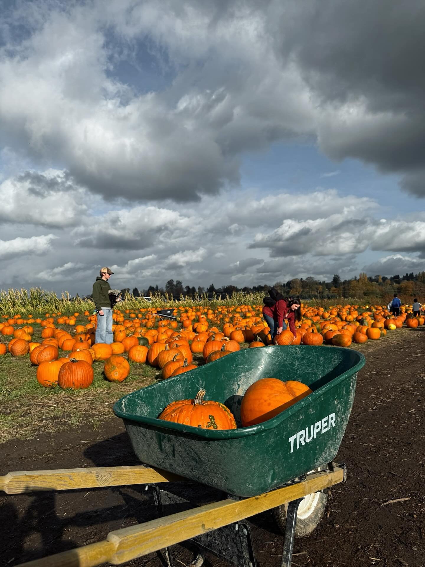🎃 Fall Fun at Swans Trail Farms! 🍁

Our crew had the best time celebrating Halloween&mdash;
picking pumpkins, petting sweet farm animals, and warming up with hot cider + fresh doughnuts. 🧡

Days like this remind us what recovery community is all a