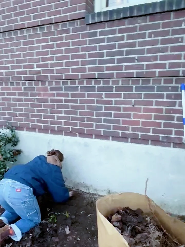 Getting our hands in the dirt 🌱 

Bridges youth kicked off work on their community garden this week &mdash; weeding, raking, and preparing the ground for what&rsquo;s to come. There&rsquo;s something powerful about building something together from t