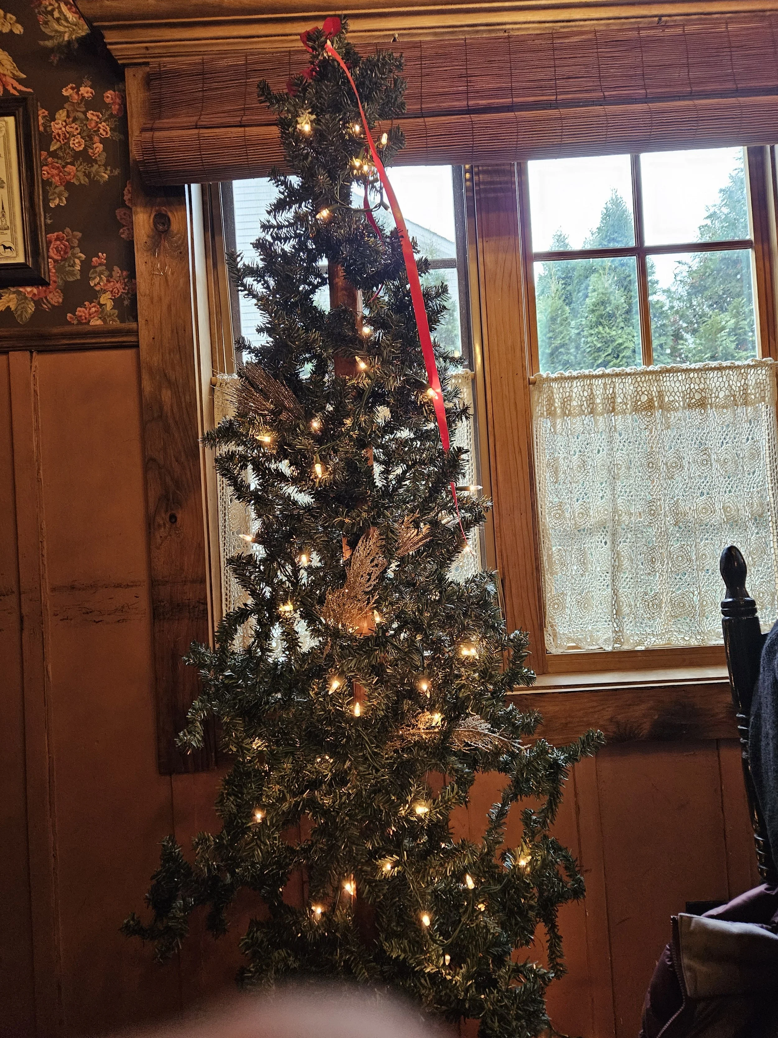 Decorated Christmas tree with lights and red ribbon by a window.