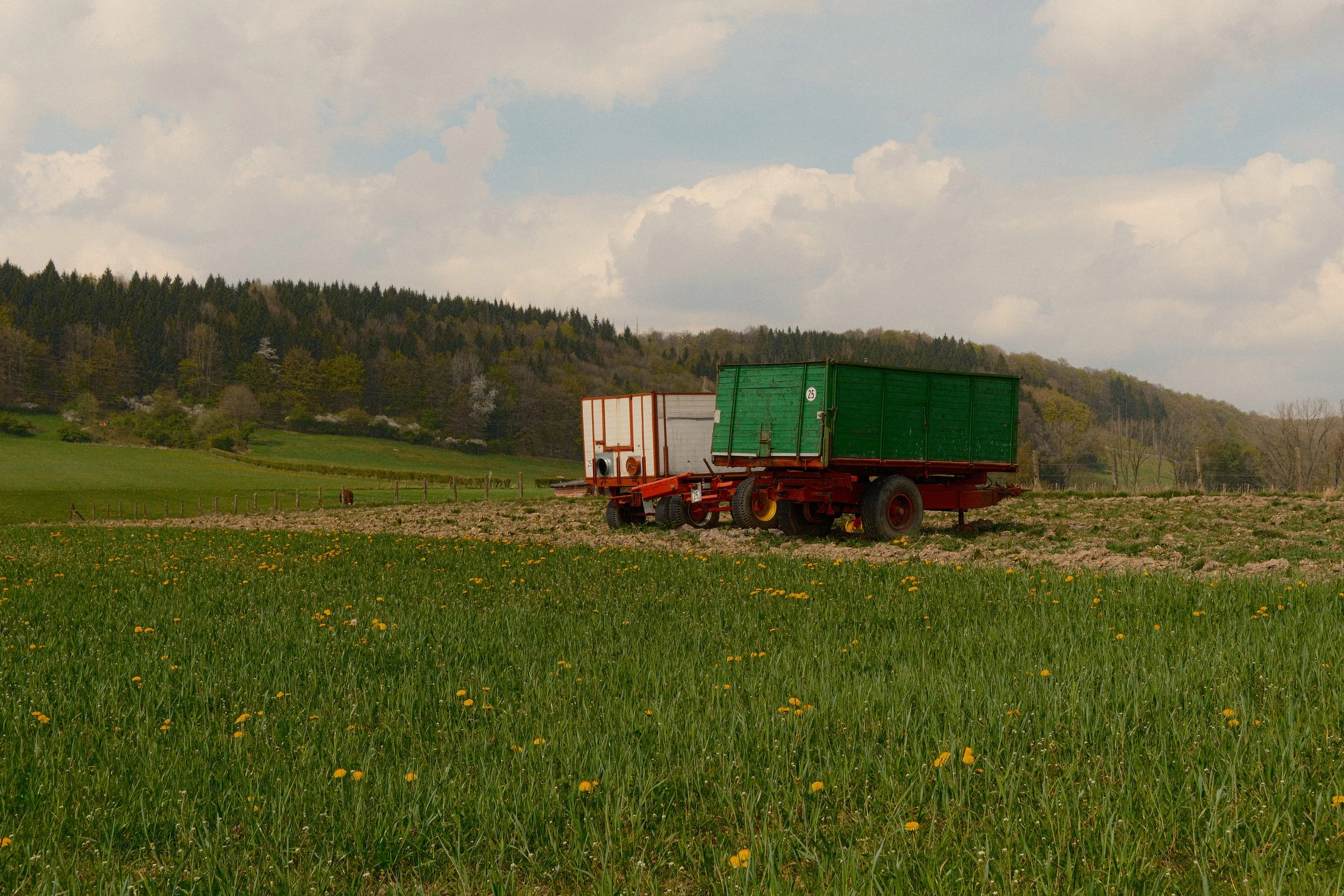 DSCF0456.jpg
