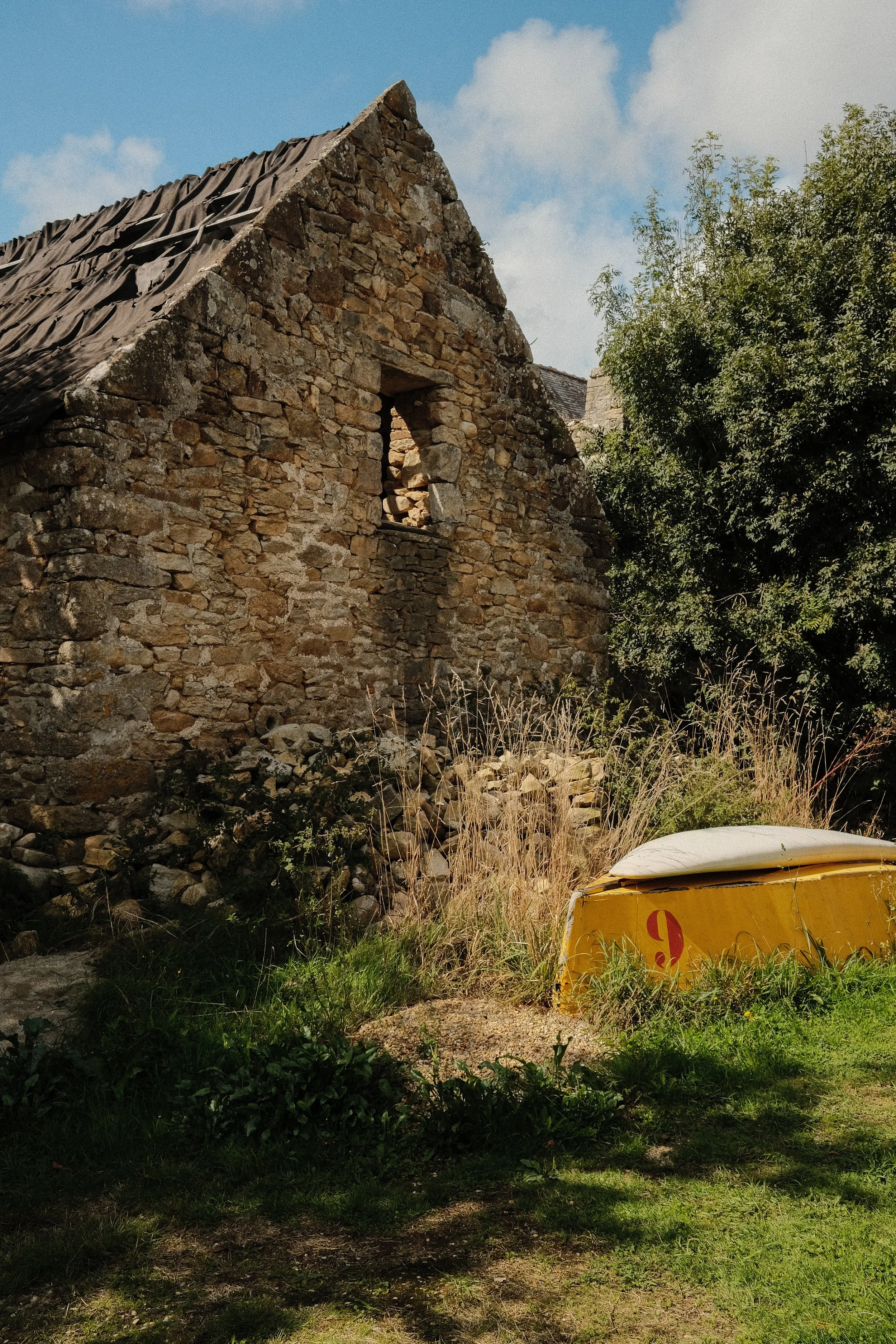 DSCF8177.jpg
