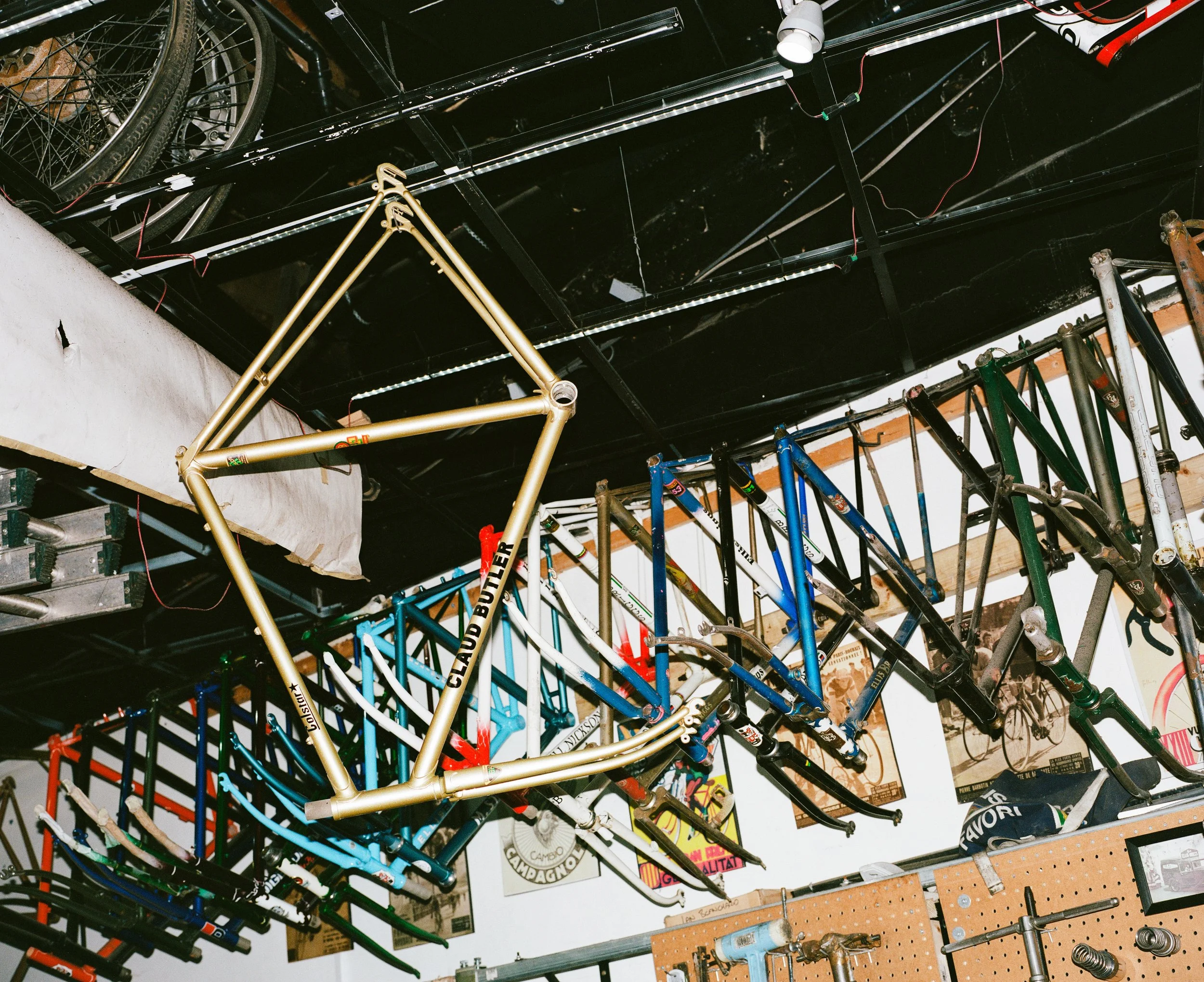 A variety of bicycle frames hanging upside down from a ceiling with posters and tools on the wall below.
