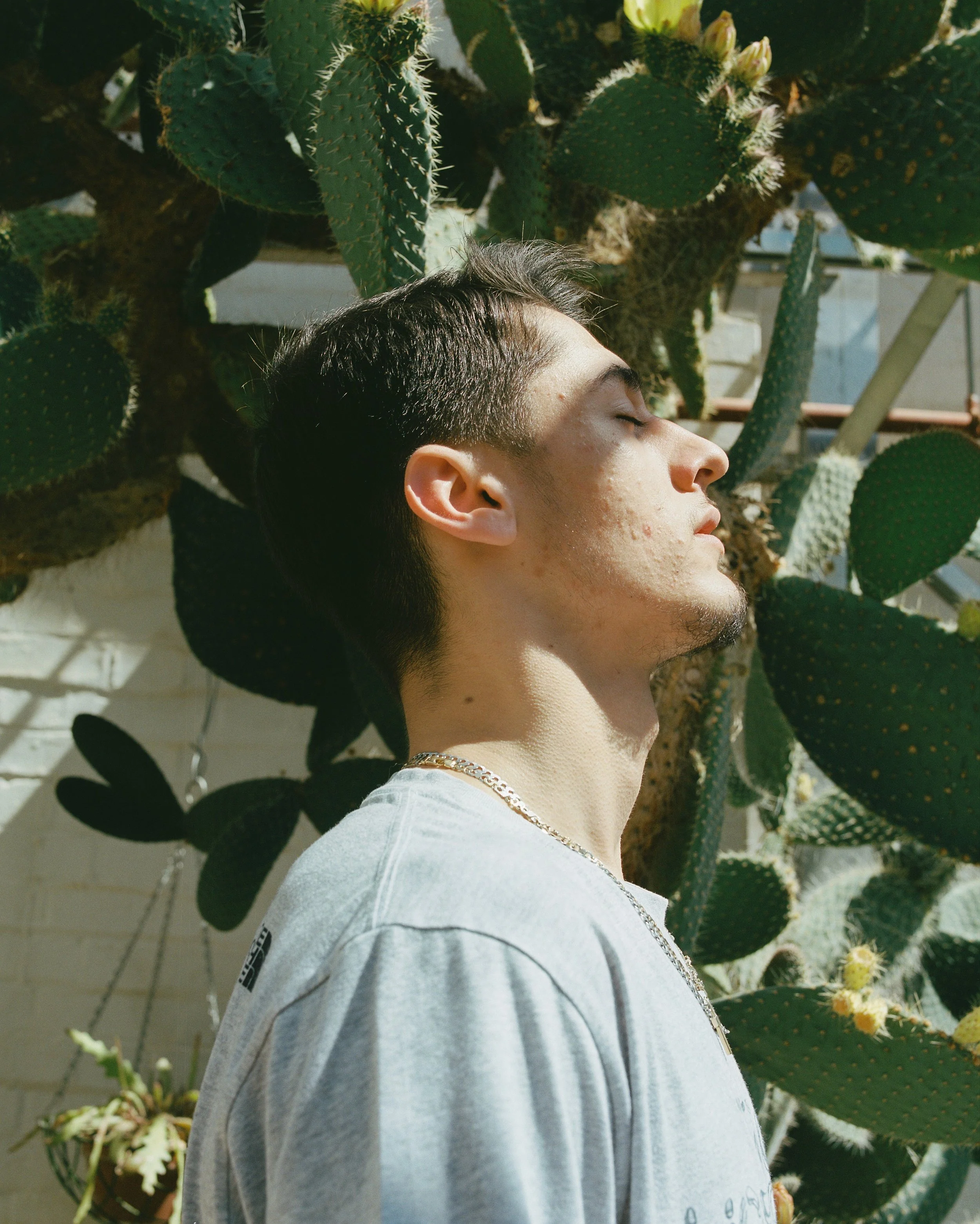 A young man with dark hair and a sweat shirt with graphics on it, lying with his head resting against a large cactus.