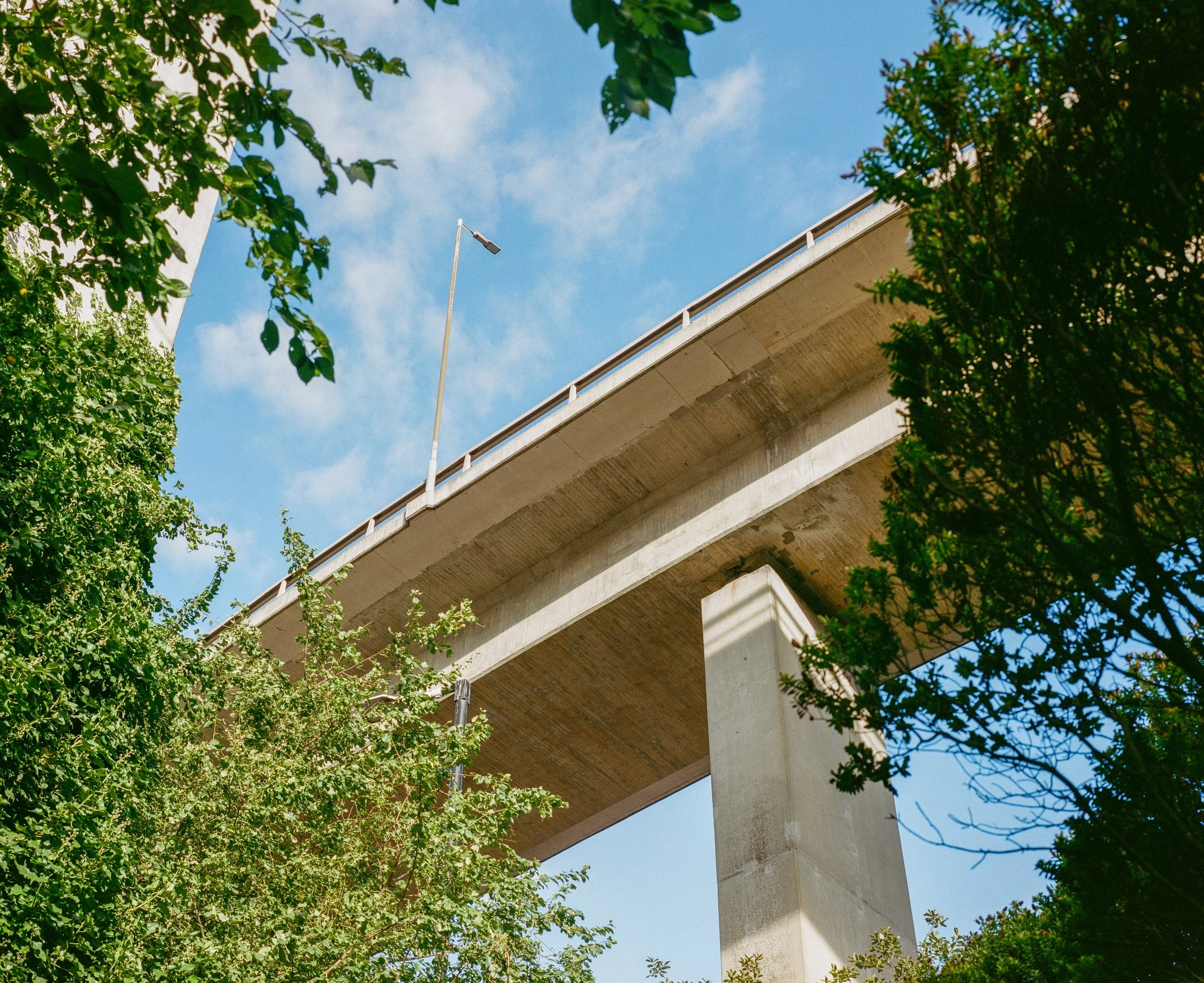 Looking up at a blue sky with some clouds, tall trees with green leaves, and an elevated bridge or highway supported by concrete pillars.