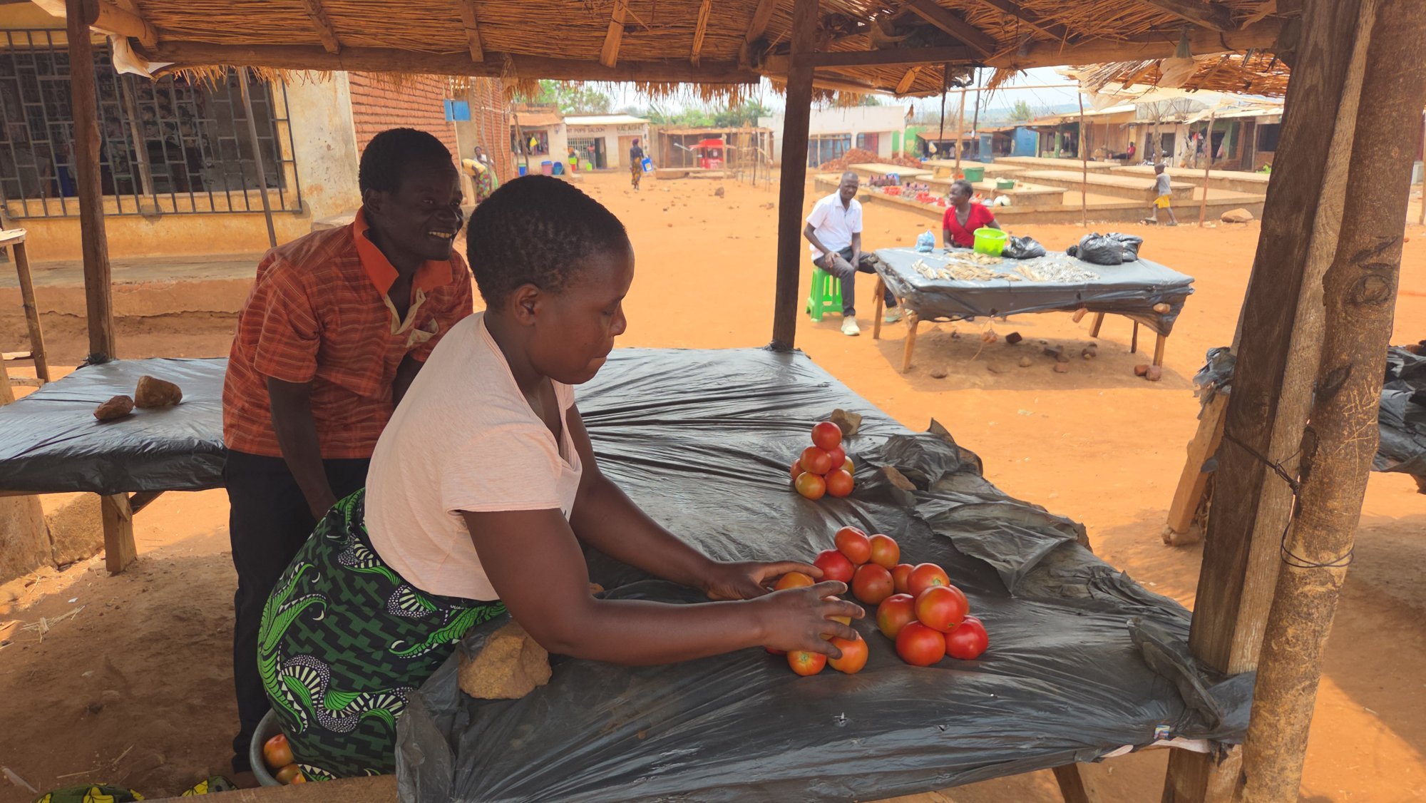 A woman arranges tomatoes on a market stall in Malawi