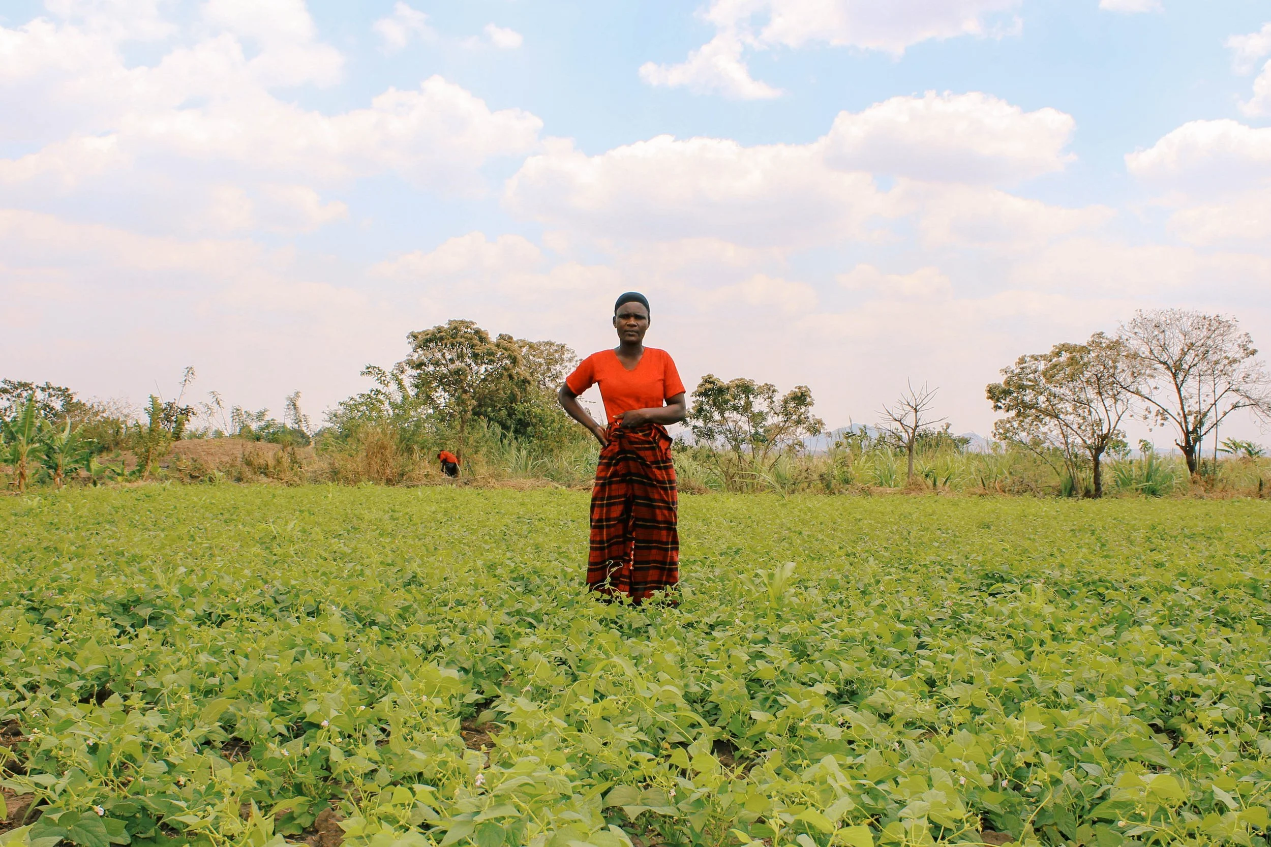 Healthy Soil and Busy Bees: What's Growing on Orant's Farms This Season