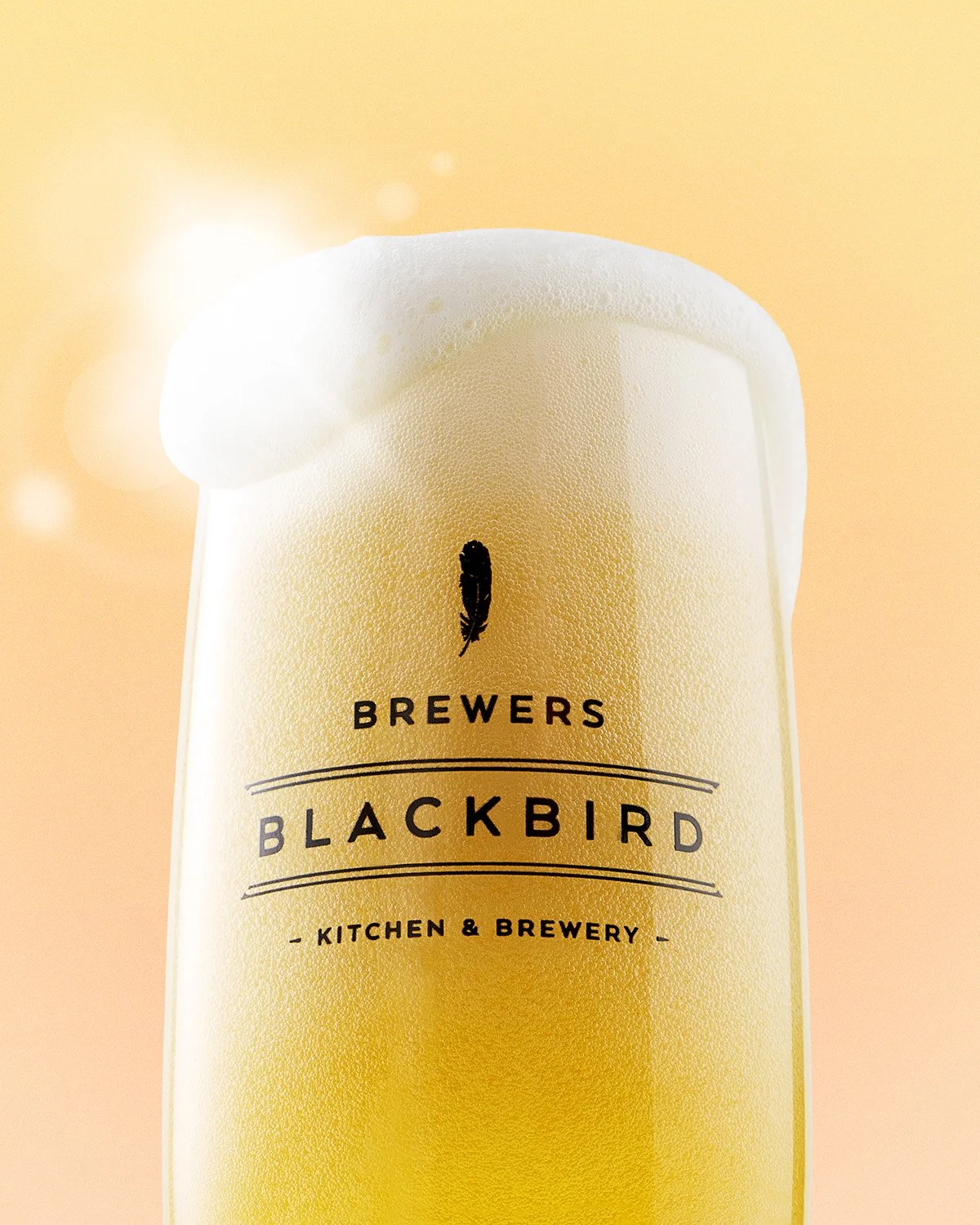 Tall frosted pint glass filled with golden beer and a thick creamy head, branded Brewers Blackbird logo visible, shot on a clean white background
12 — Clean product shot of a juice or beverage bottle with a lemon slice and orange half floating beside