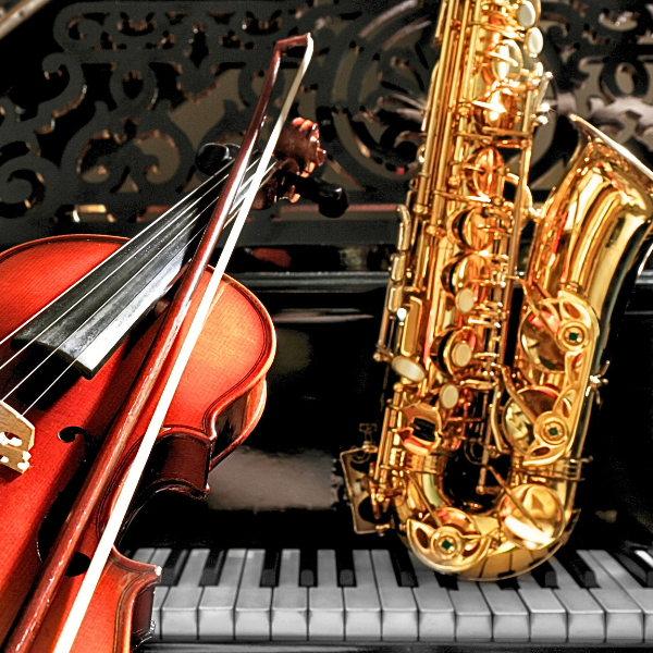 Young Artist, Preliminary Video Round Fee